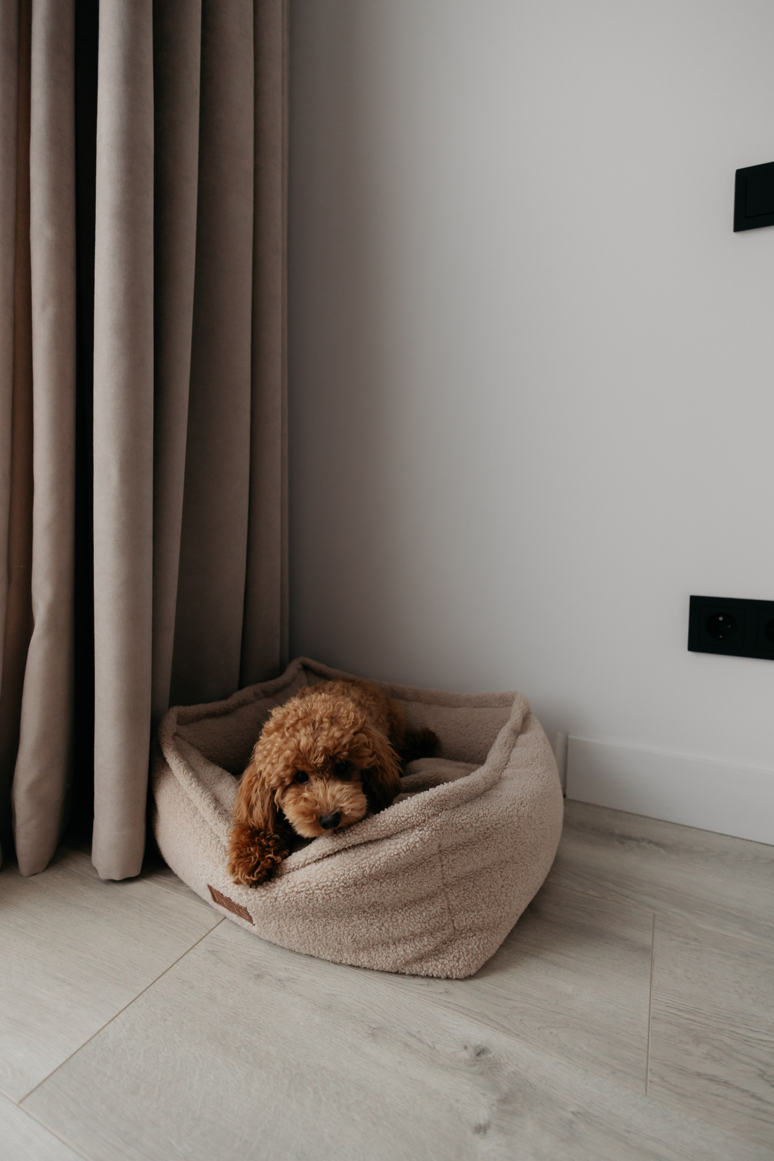 Интерьер. Свадебный фотограф в Пскове и Санкт-Петербурге | Анна Голикова