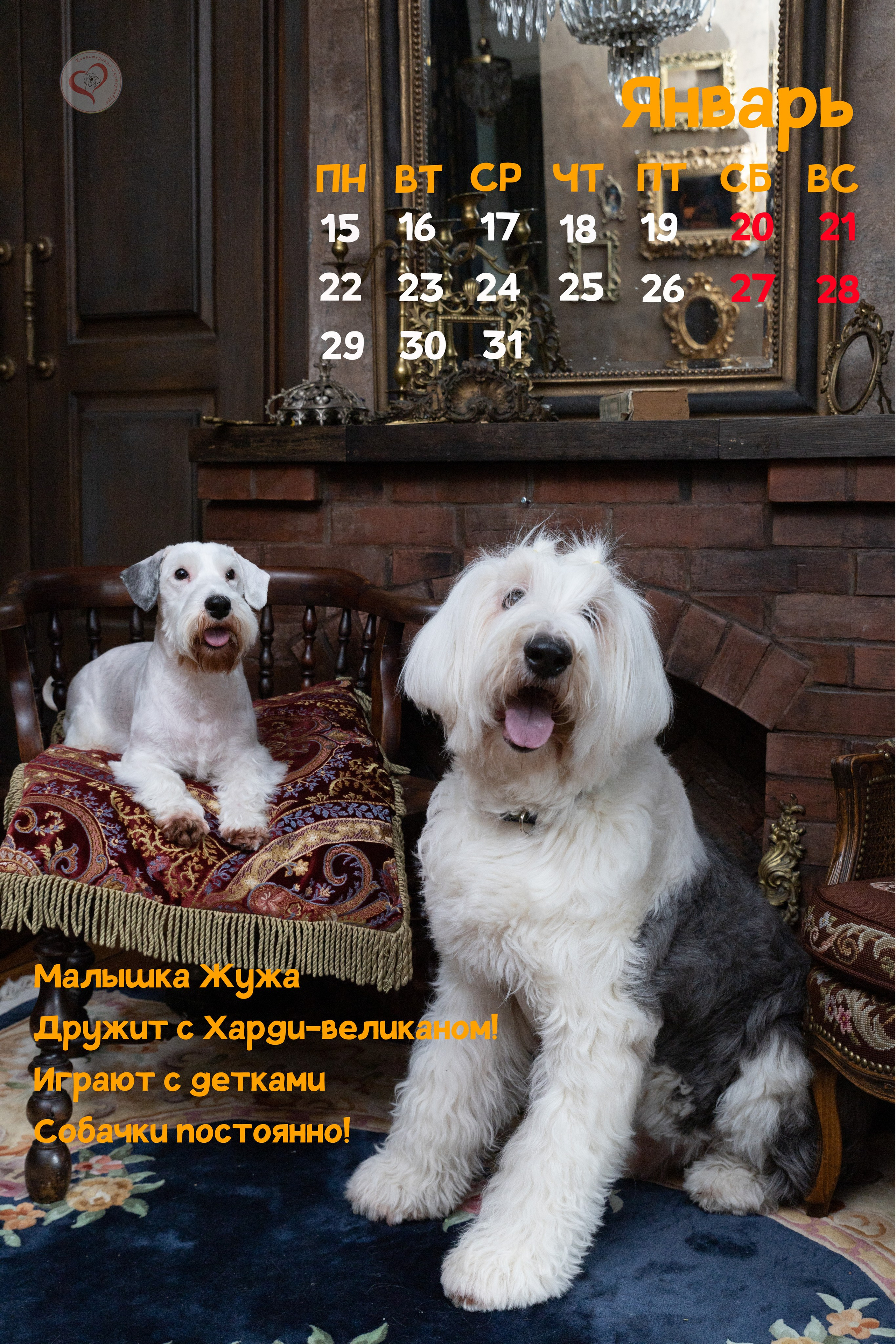 Календарь 2024 Канис. Фотограф Сергей Ушаков