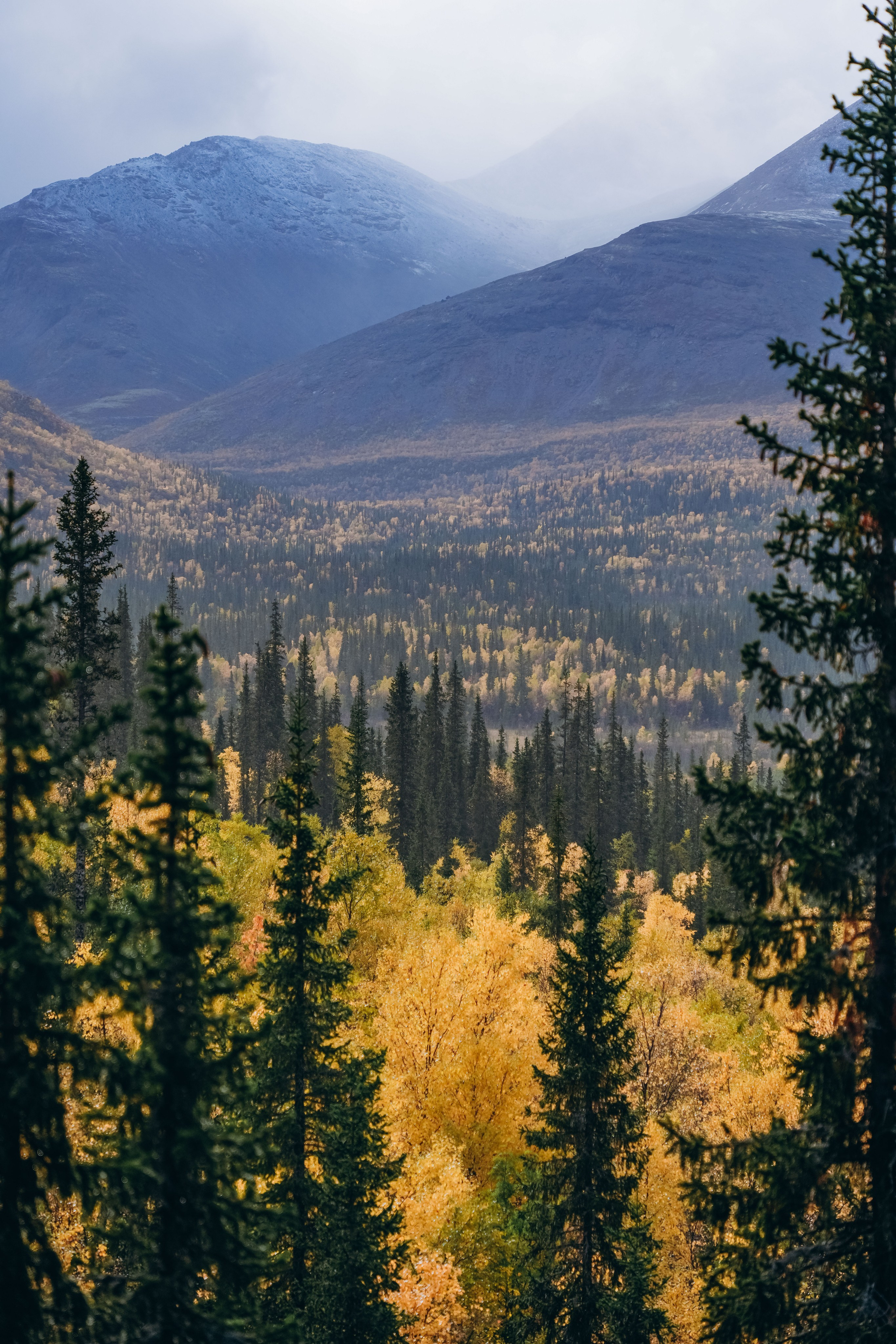 СЕВЕР. Event фотограф Степанова Александра