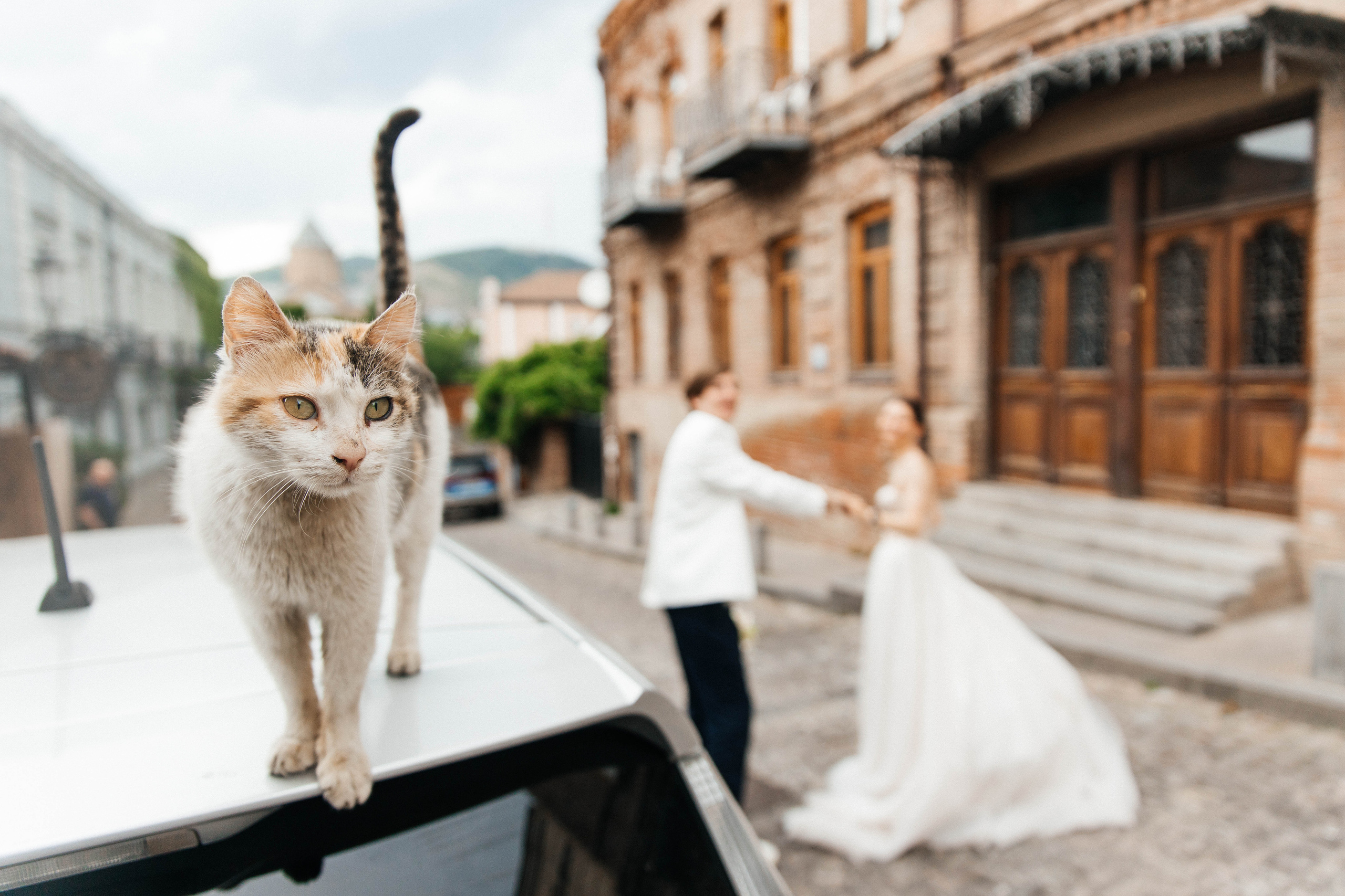 Wedding day. Фотограф Андрей Баксов