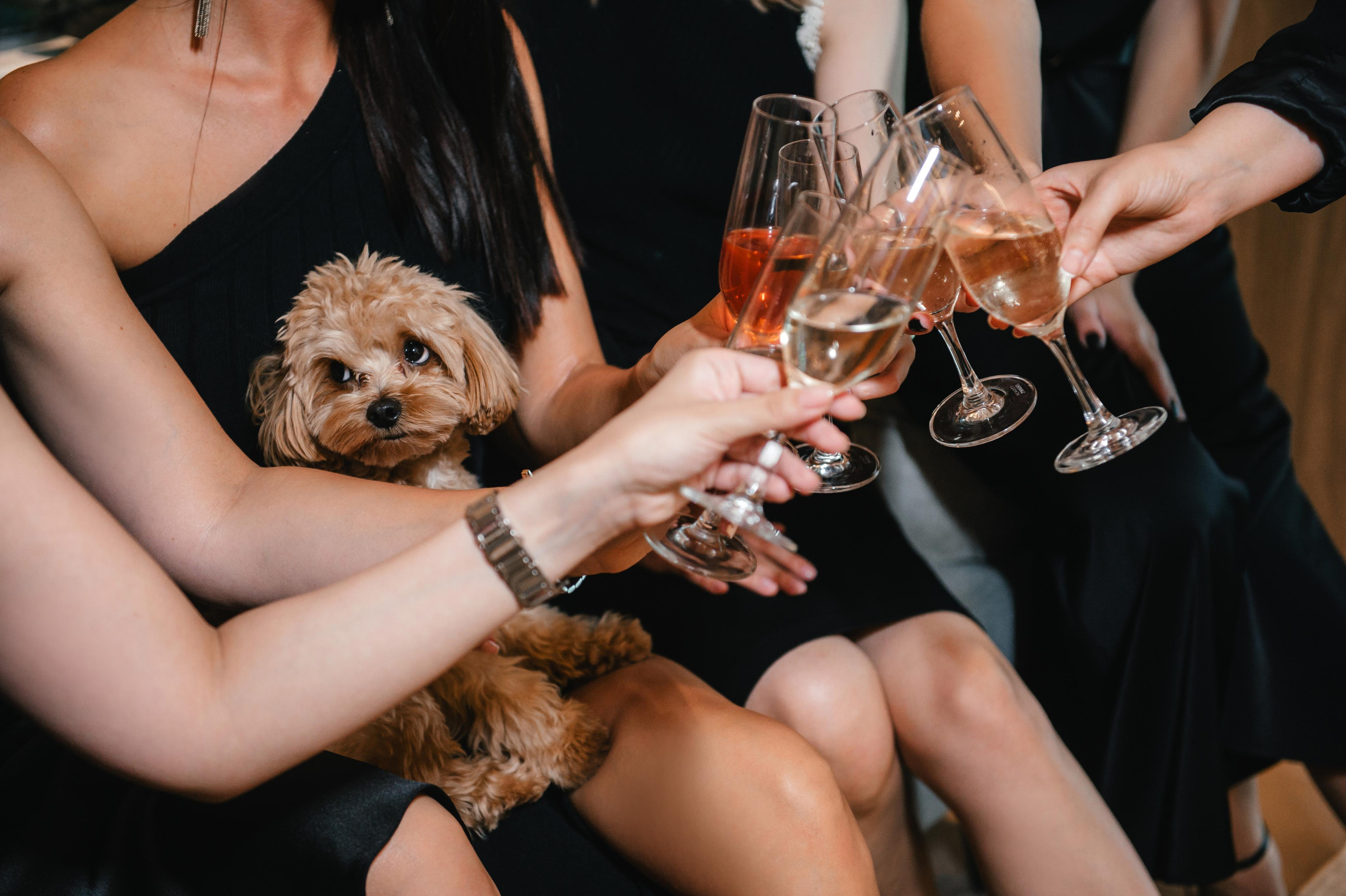 Роман и Алина. Portfolio