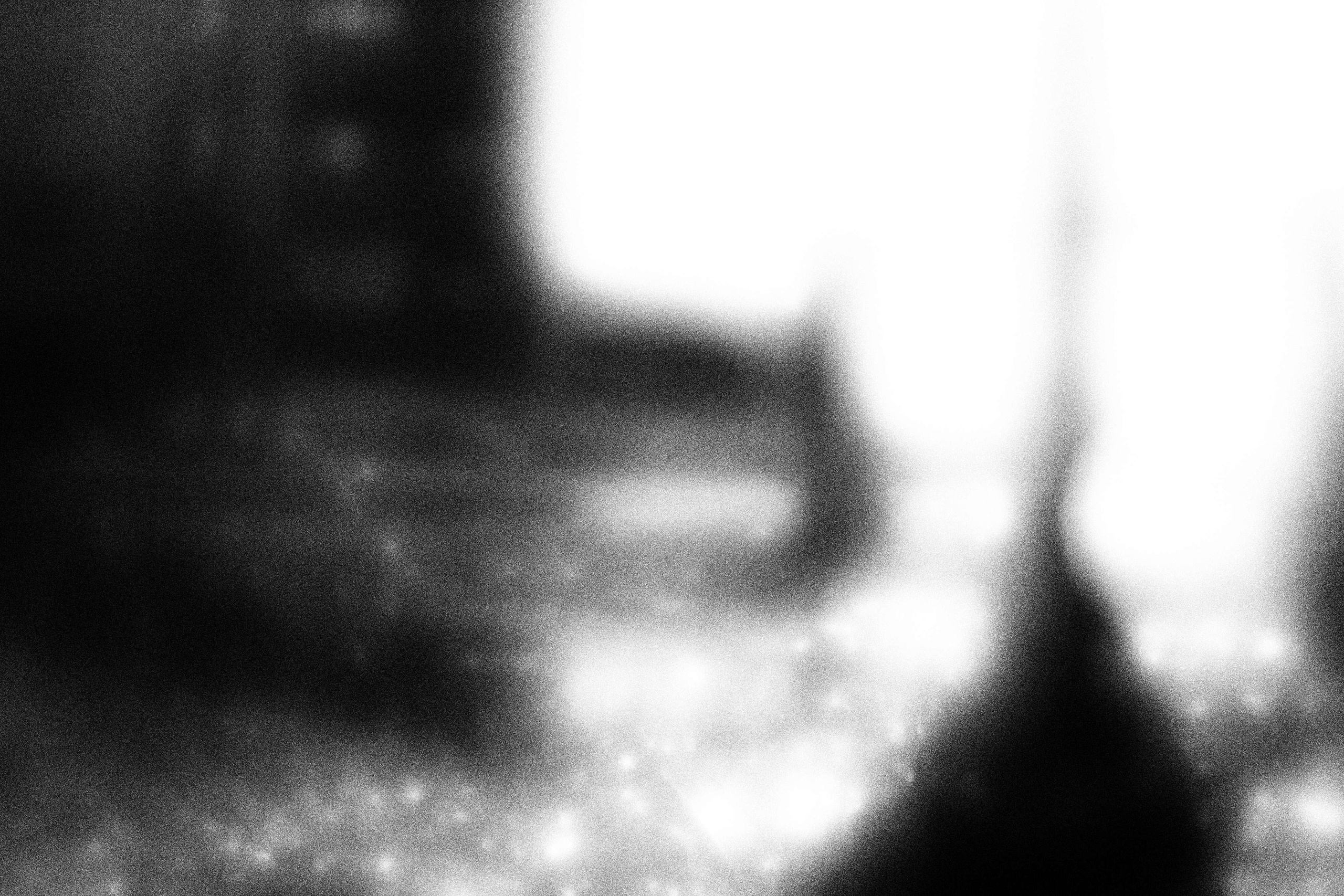 «Видеть. Чувствовать. Сохранять»