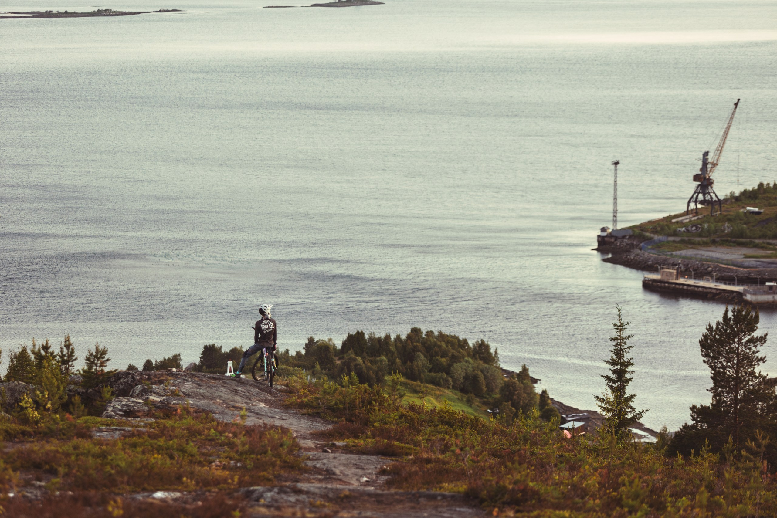 Кандалакшка. Фотограф анималист Никита Натальный