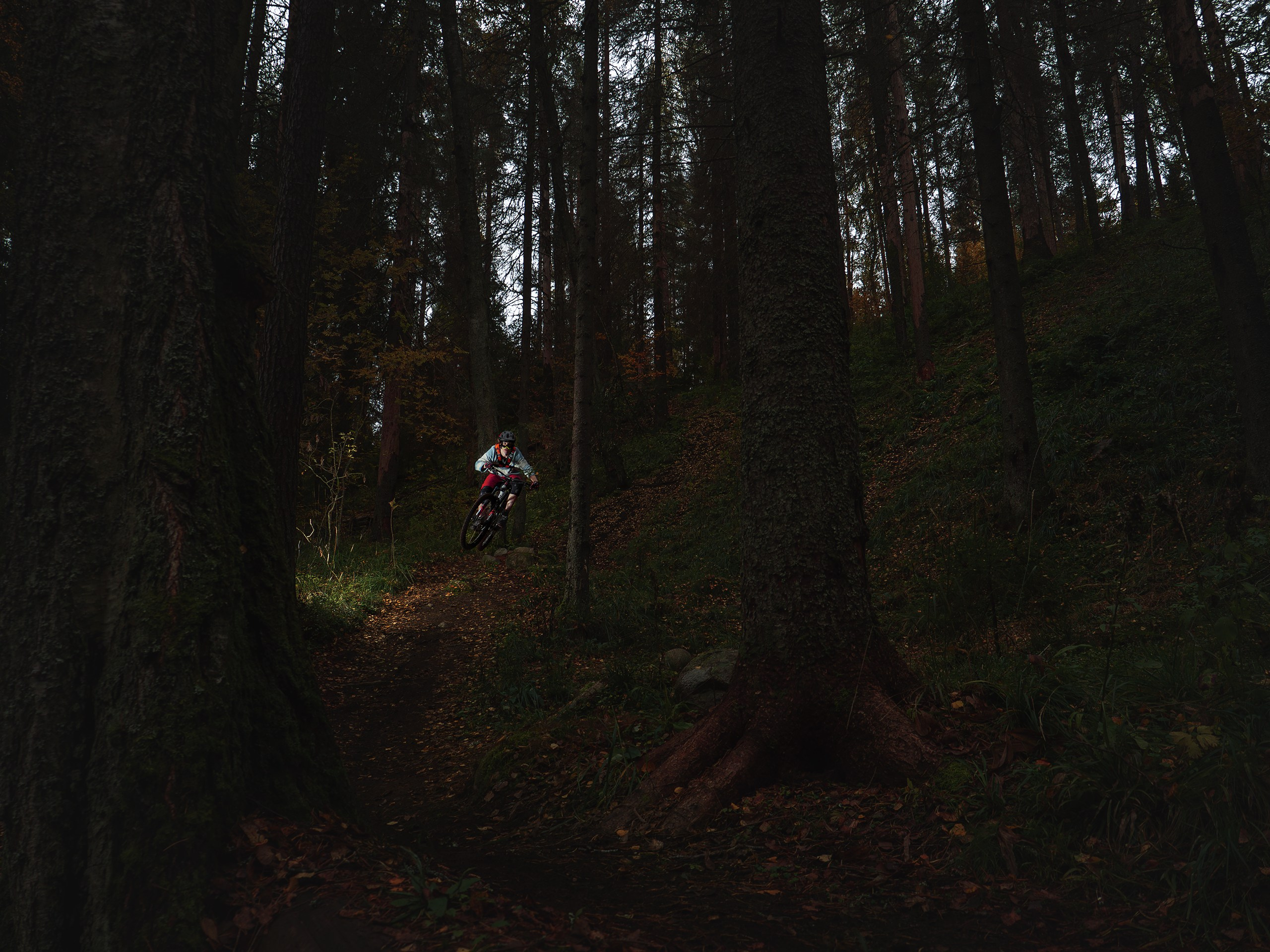 Владимир. Фотограф анималист Никита Натальный