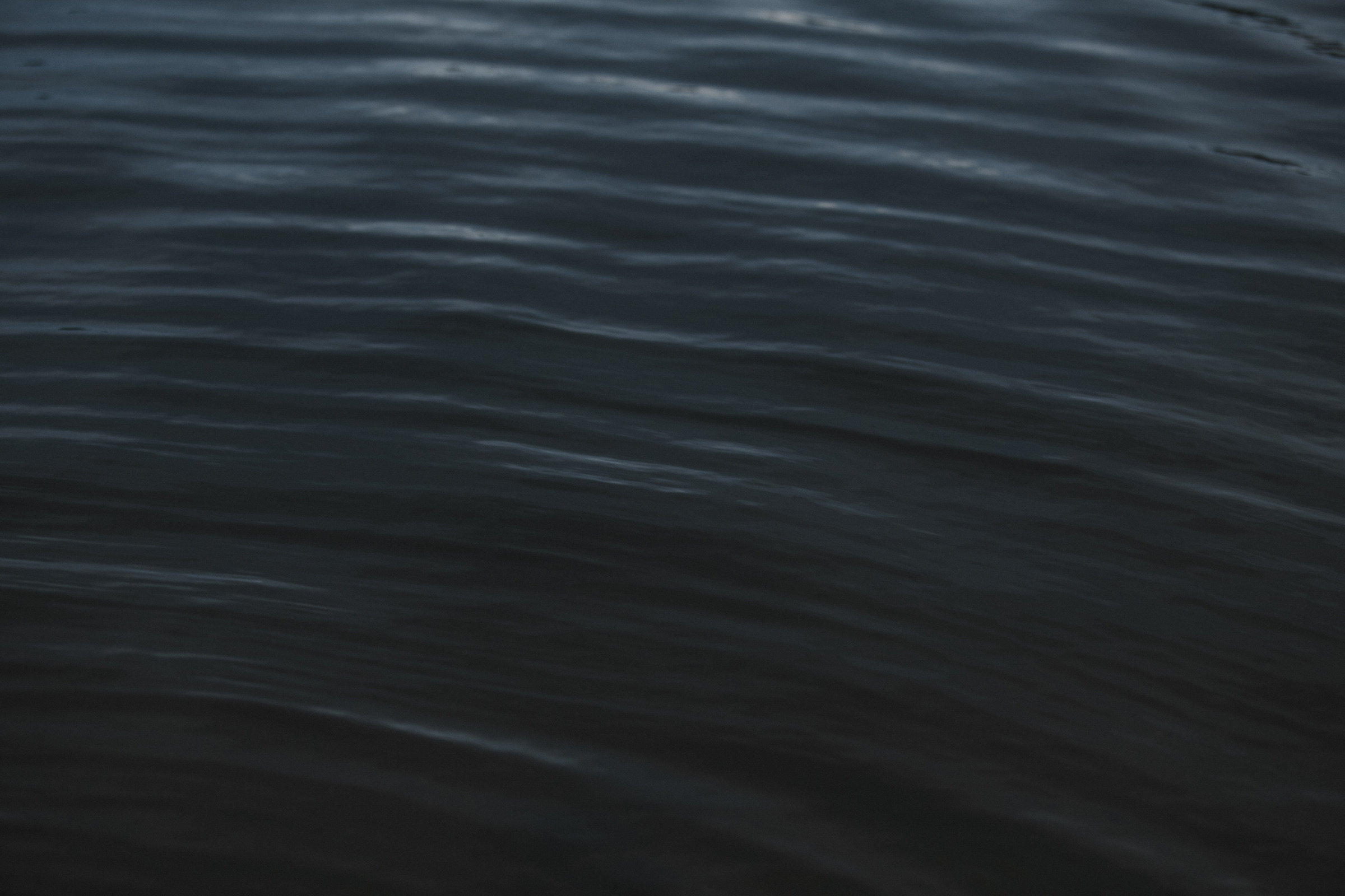 Victor + Julia. Антон Айрис | Anton Iris — стильно сниму твою свадьбу и депрессию