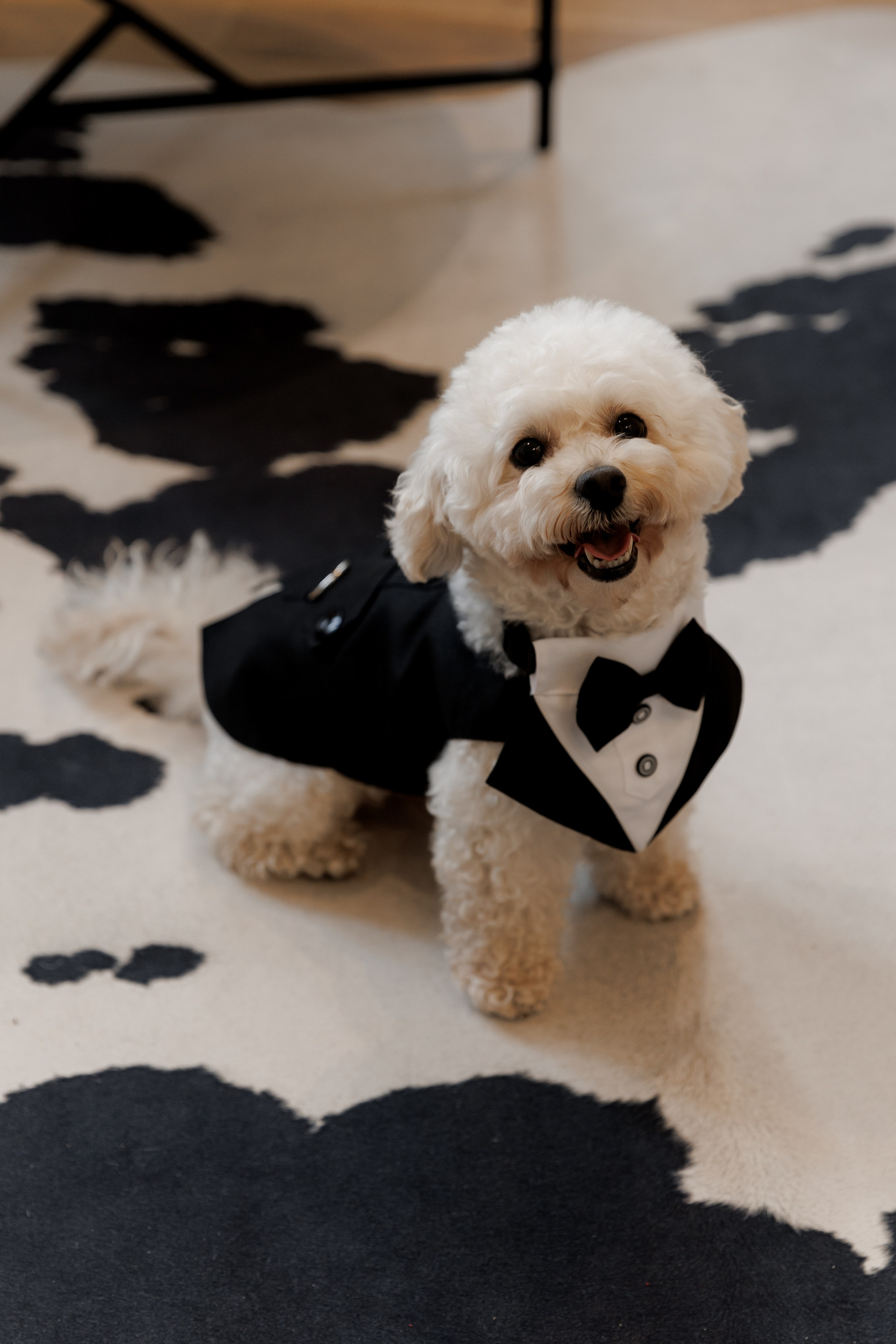 Александра & Александр. Свадебный фотограф в Москве и в Санкт-Петербурге