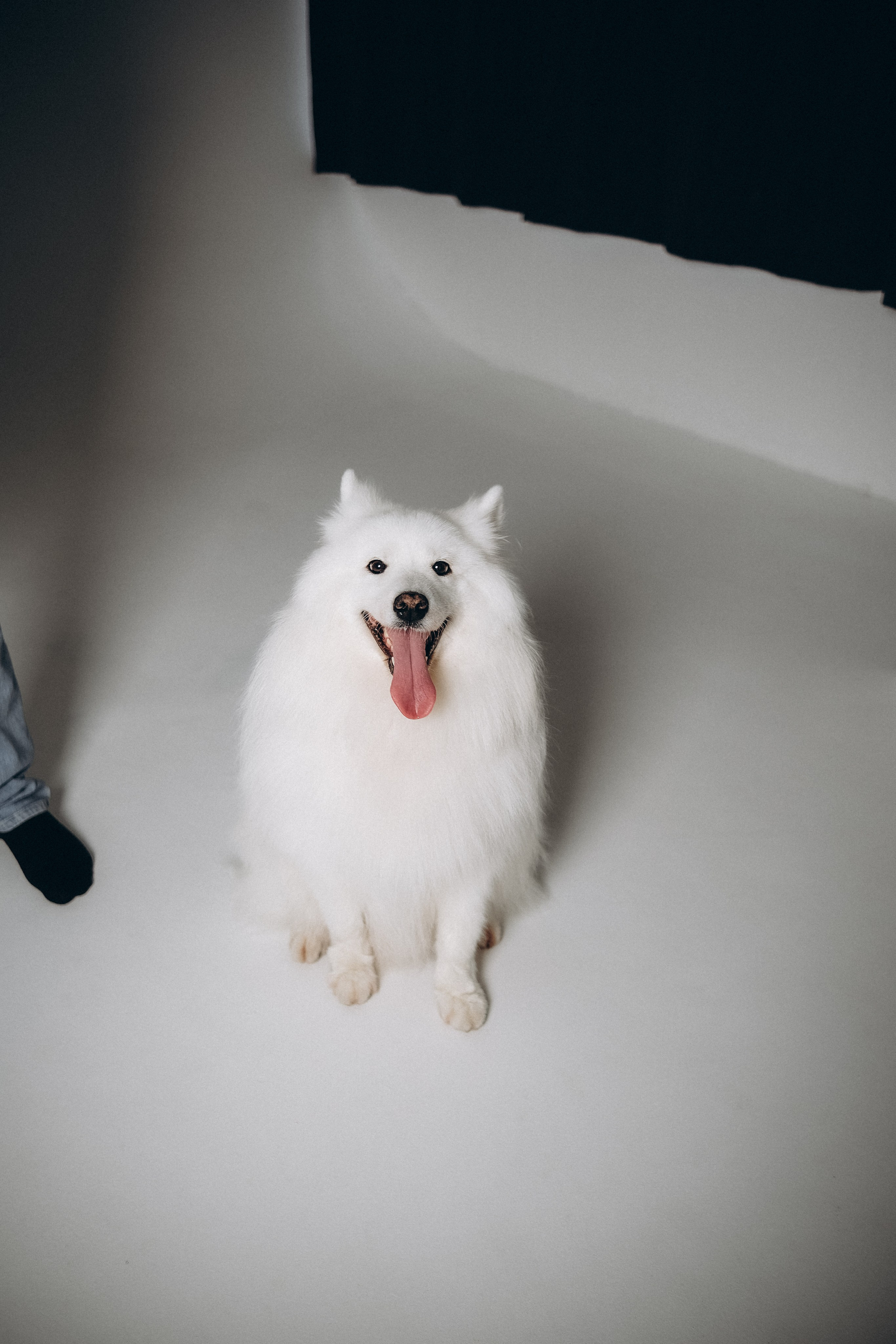 Катя & Андрей. Phdkvmr.ru