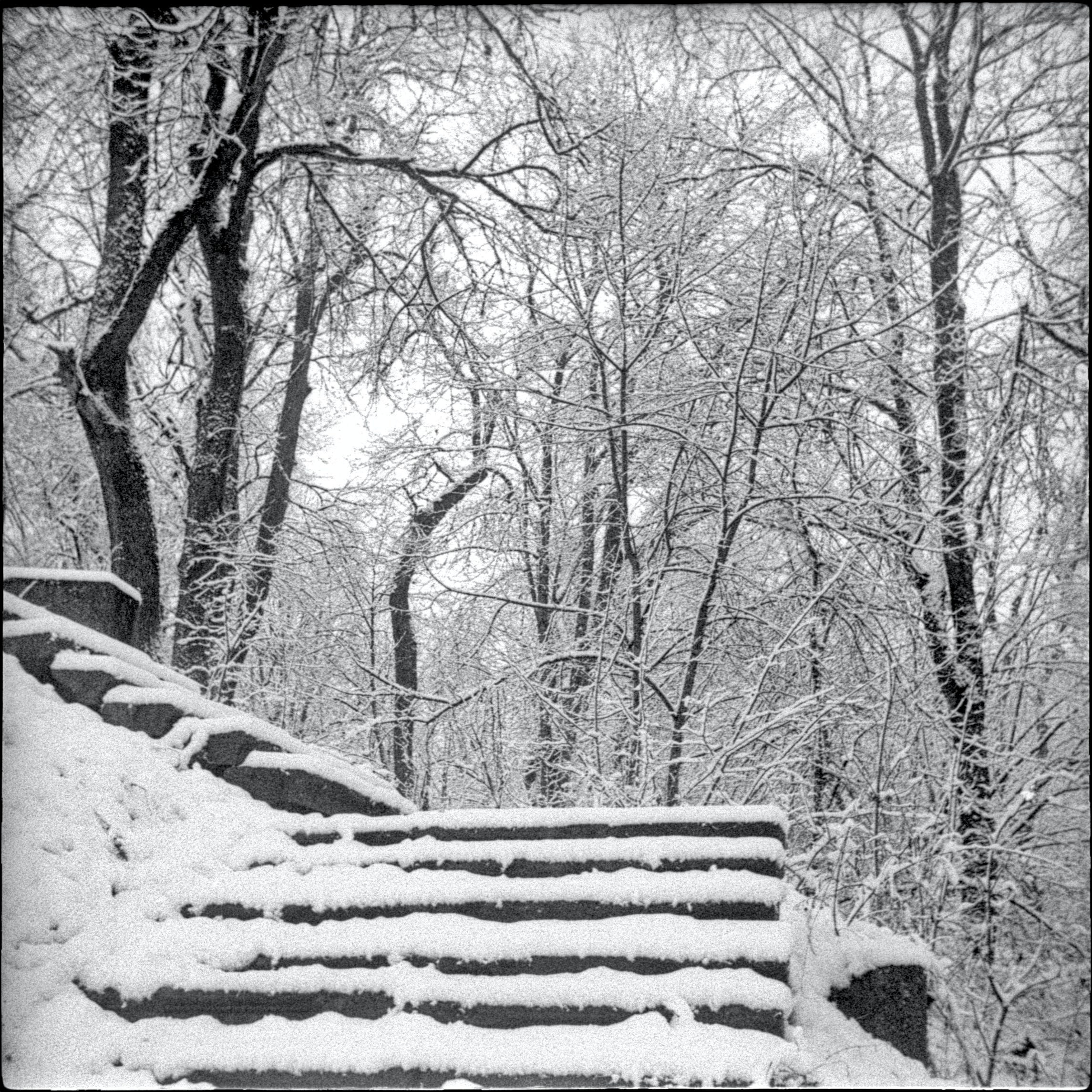 Пленочная фотография Олег Кузнецов. Artkapella|Олег Кузнецов