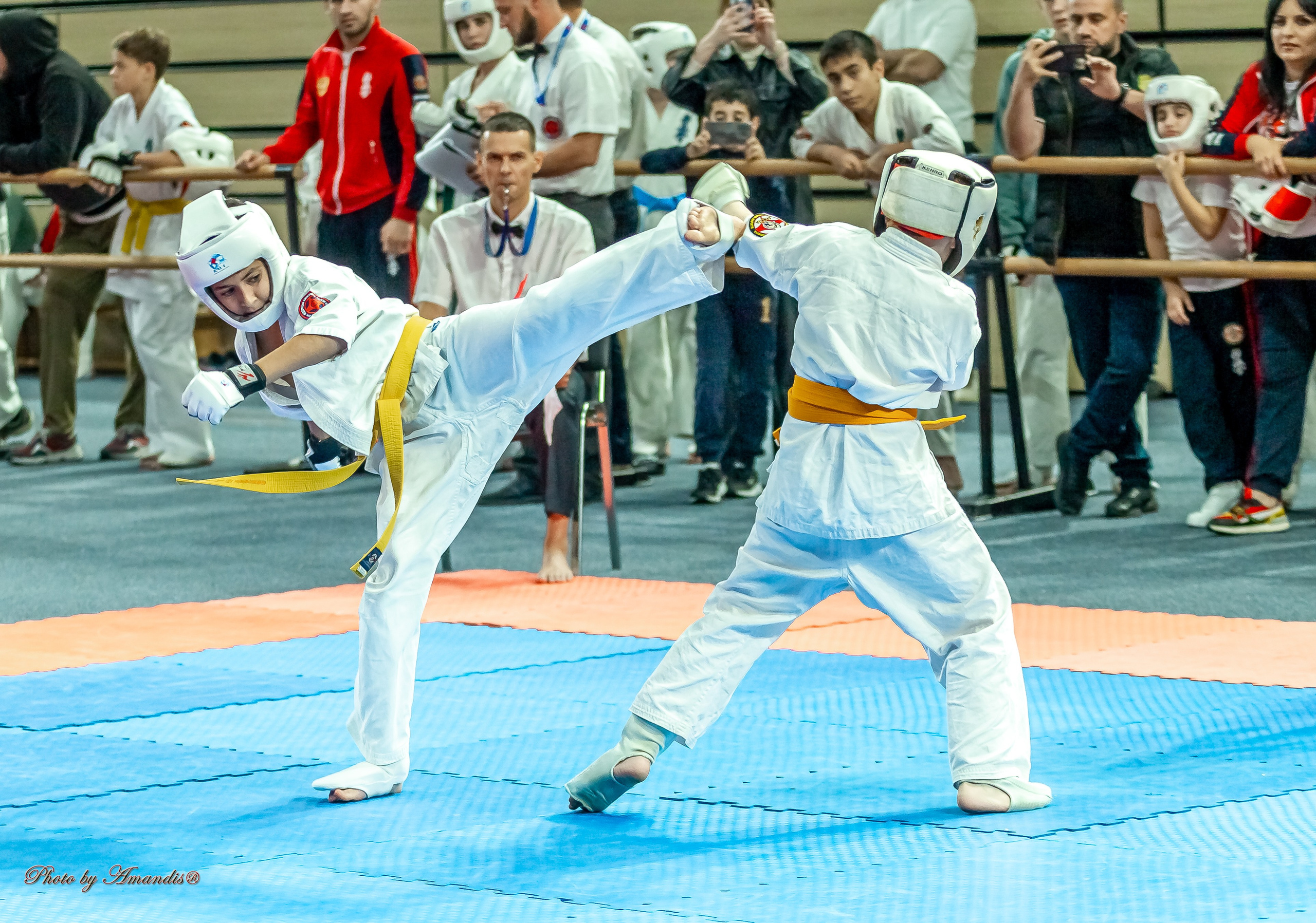 Первенство Московской области по Киокушин в СК «Жаворонки». Репортажная съемка в Москве и области. Анималистика