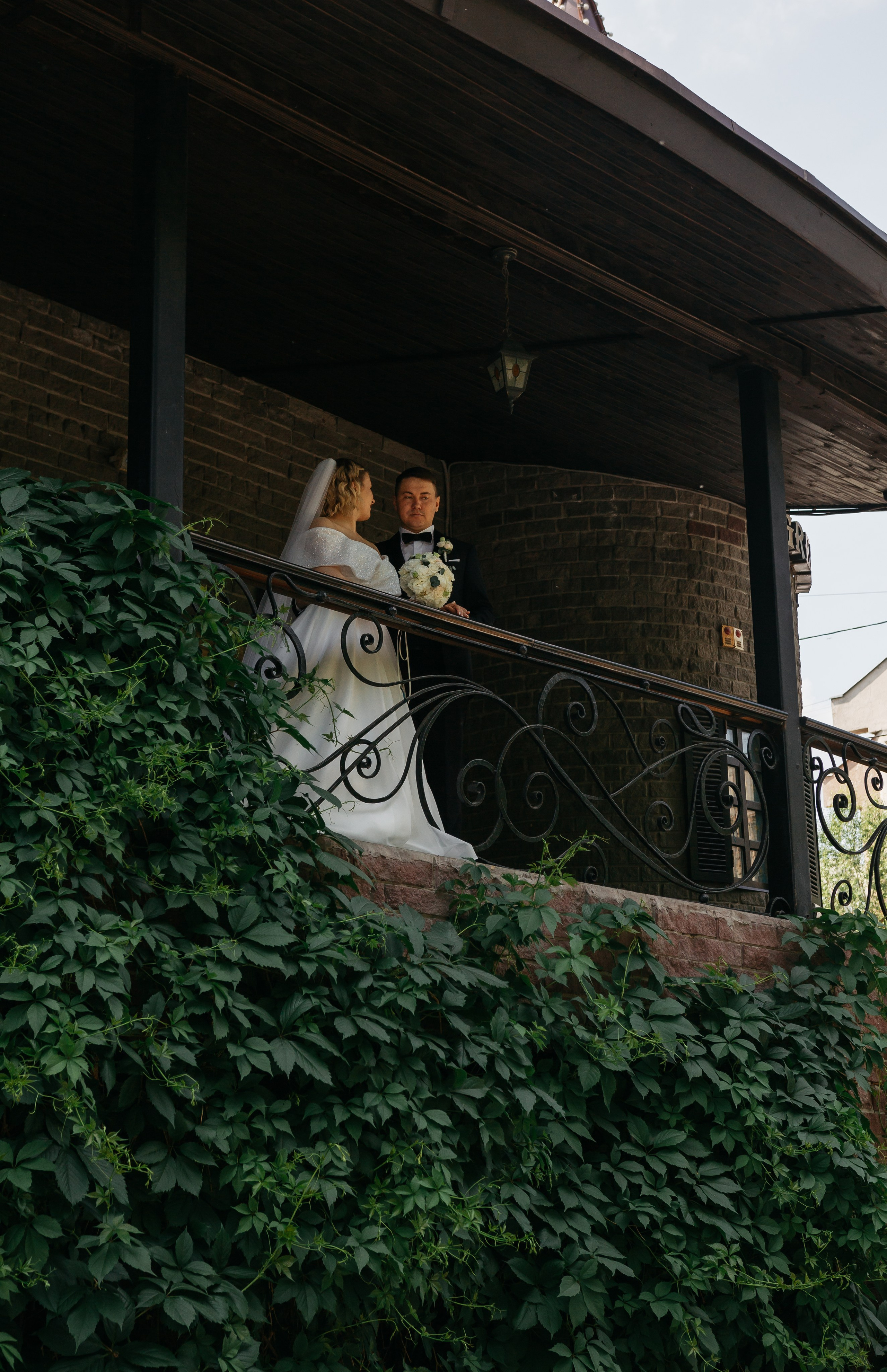 молодожены 