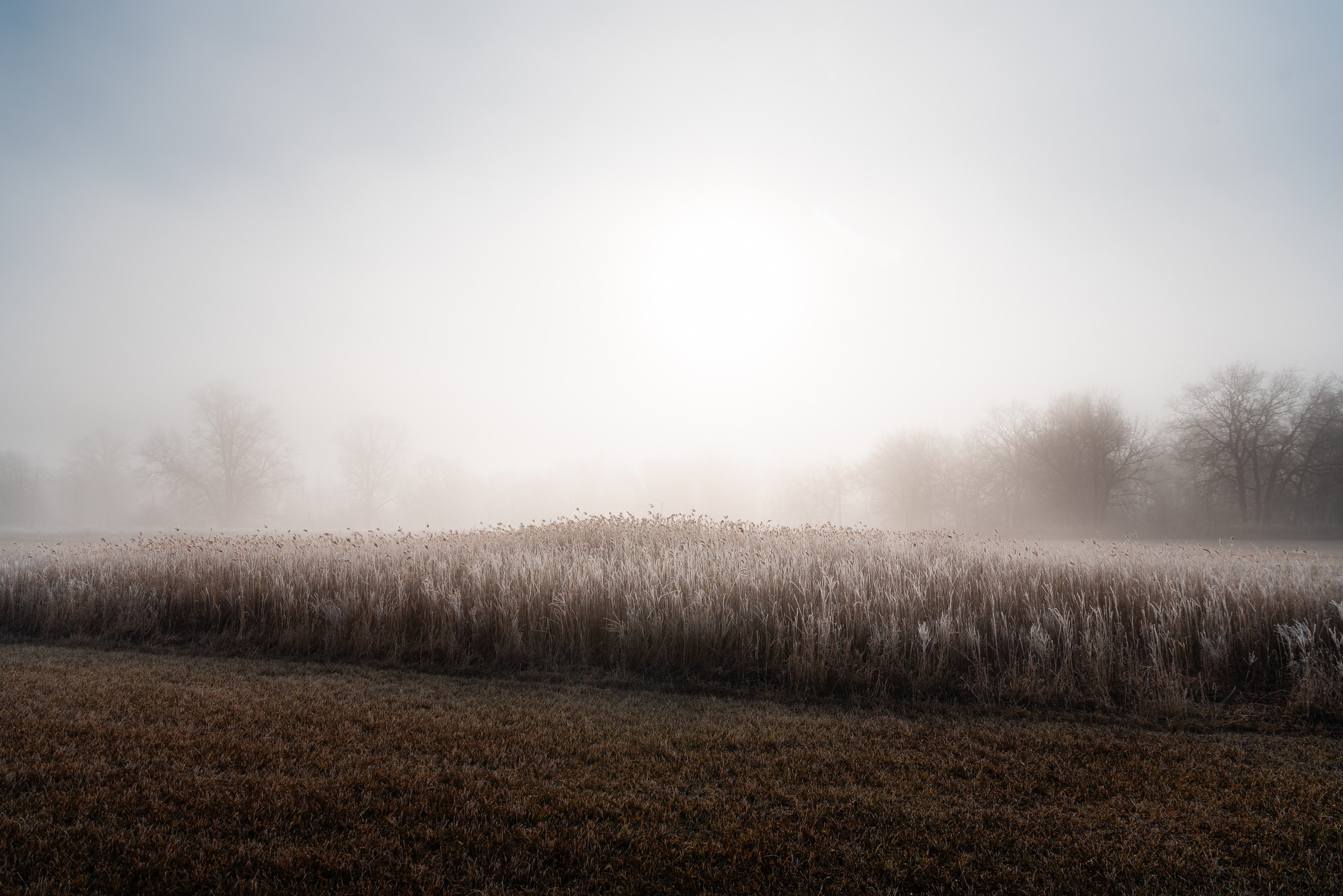 Фотографии утреннего тумана под Волжским. Фотограф в Волгограде и Волжском Александр Горбань