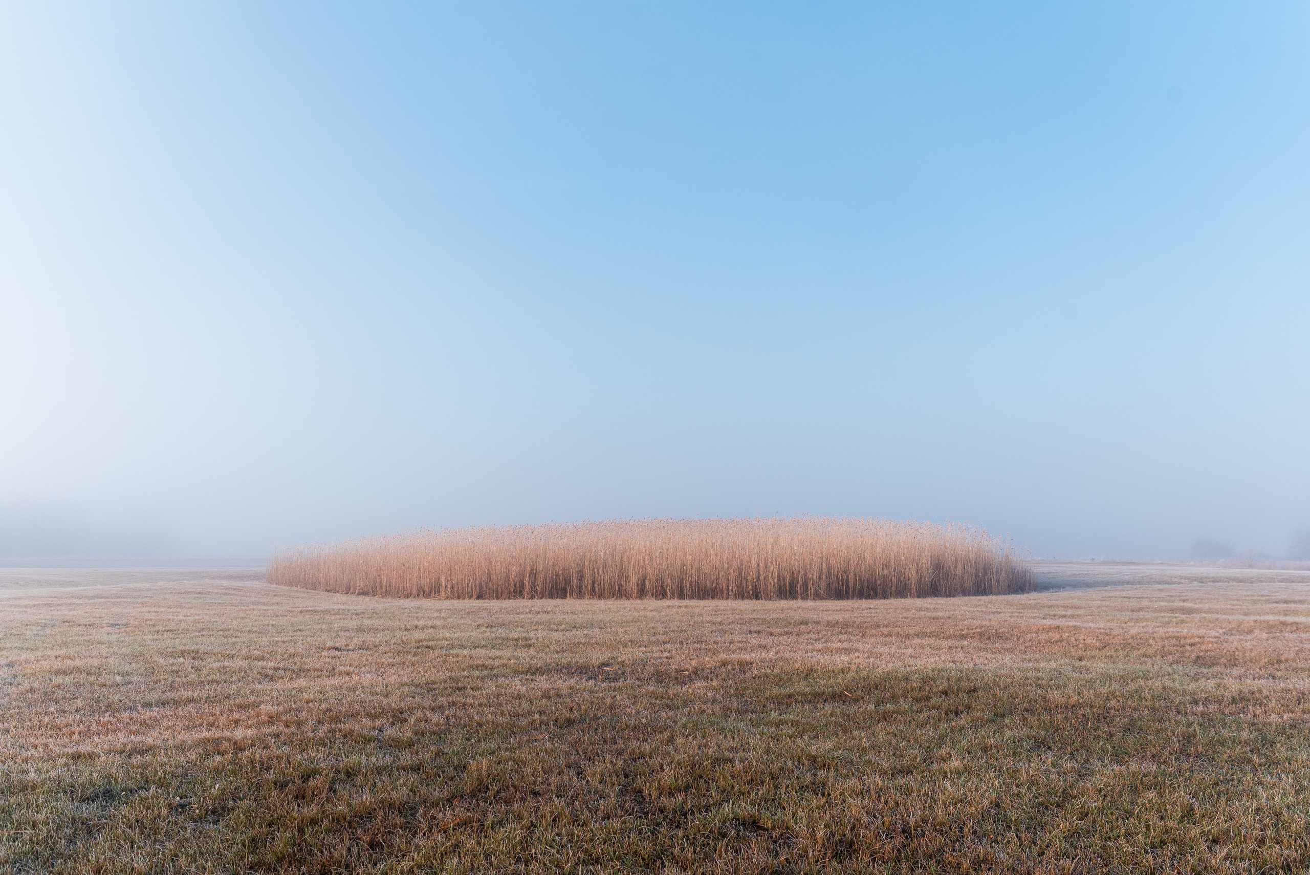 Фотографии утреннего тумана под Волжским. Фотограф в Волгограде и Волжском Александр Горбань