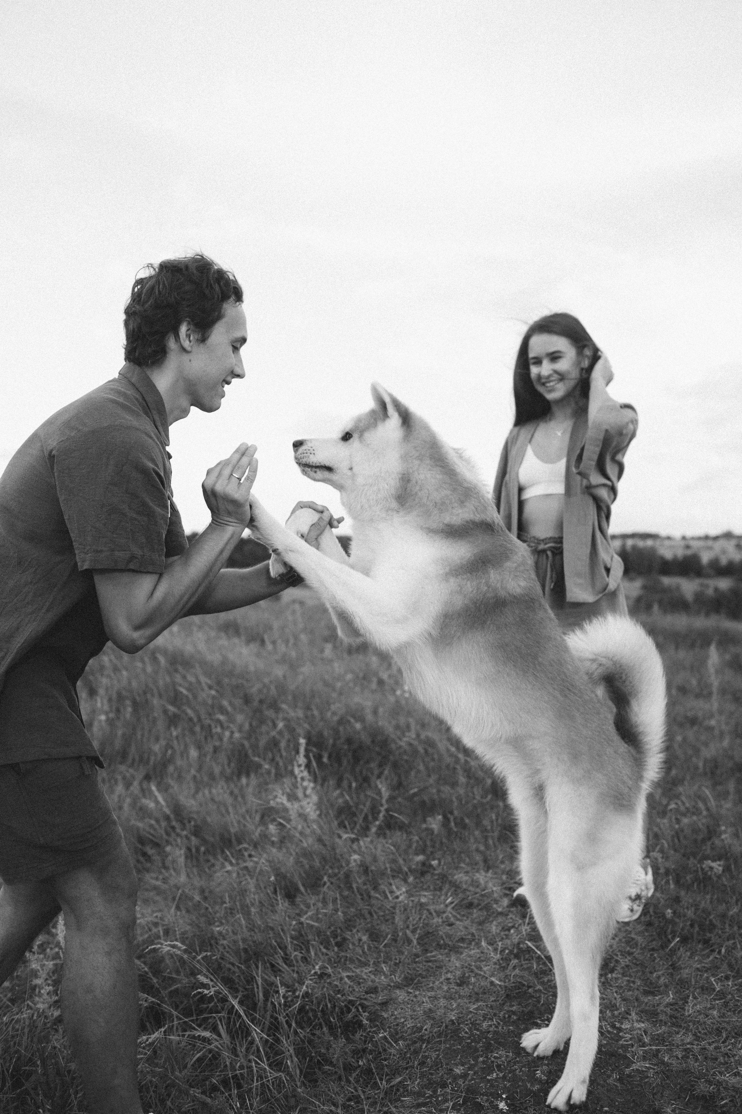 Прогулка на закате. Фотограф Ксения Степаненко