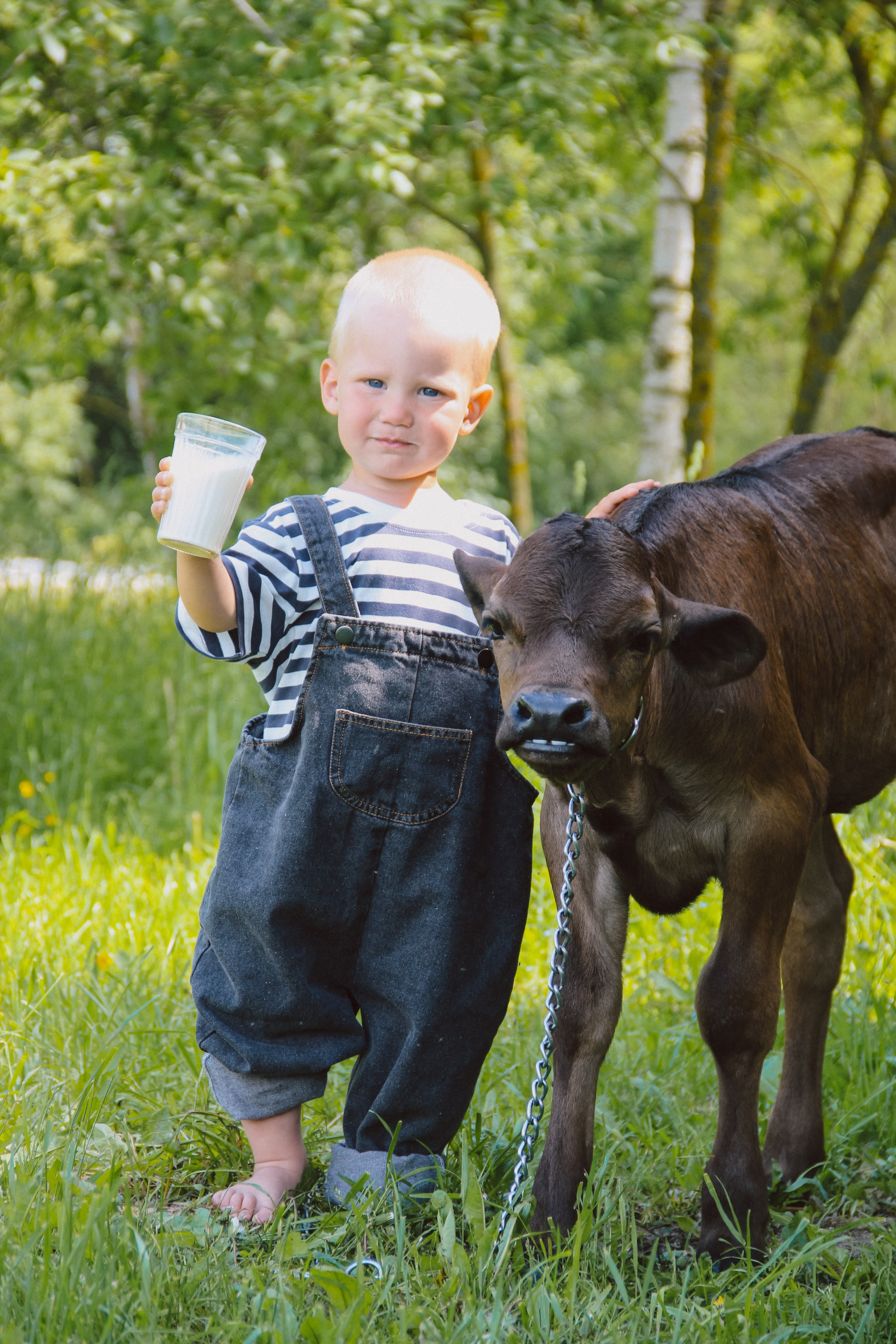 Farm photos. Главная