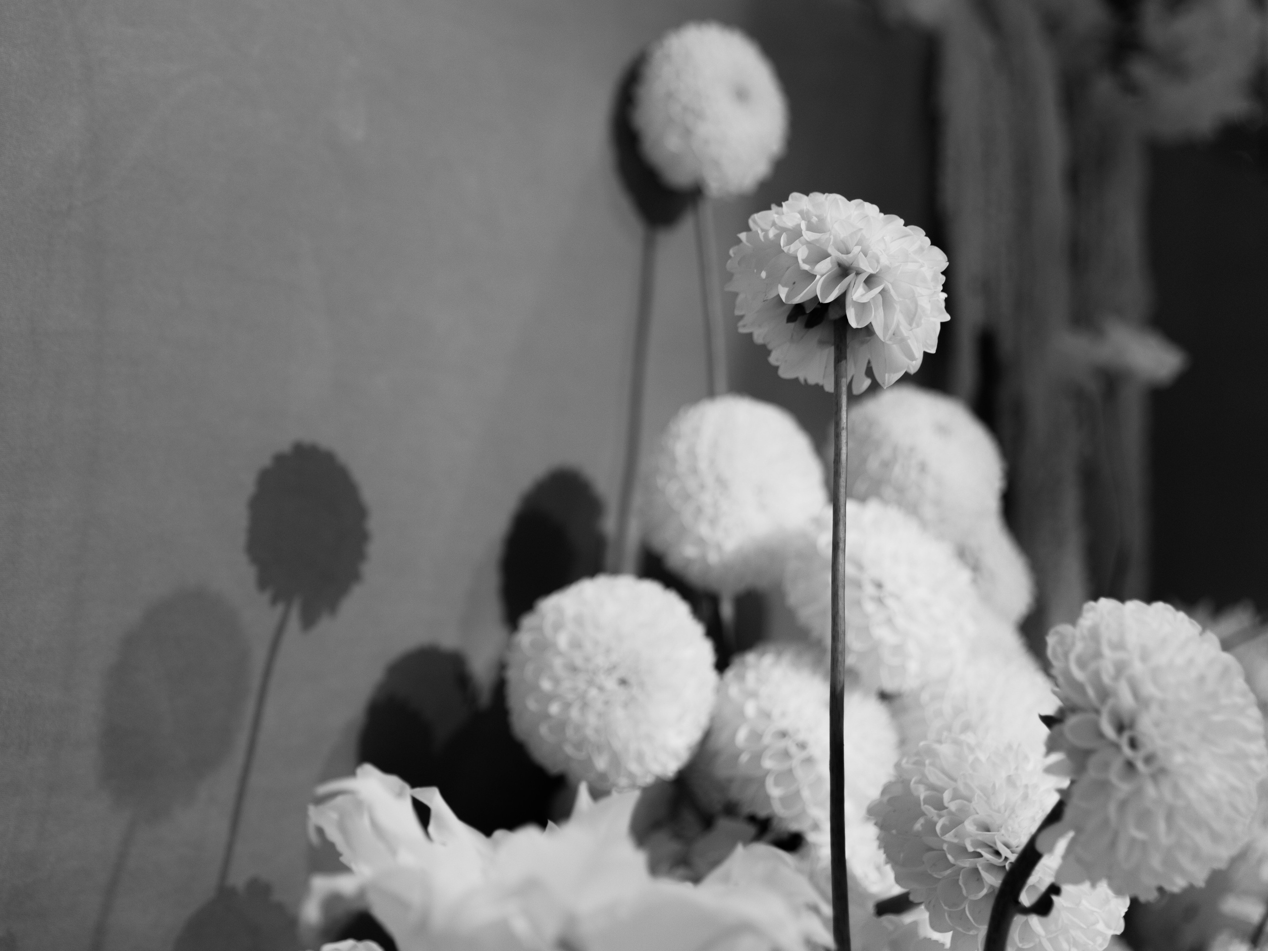 Backstage for Global Wedding. Свадебный фотограф в Санкт-Петербурге и Москве Андрей Чернов