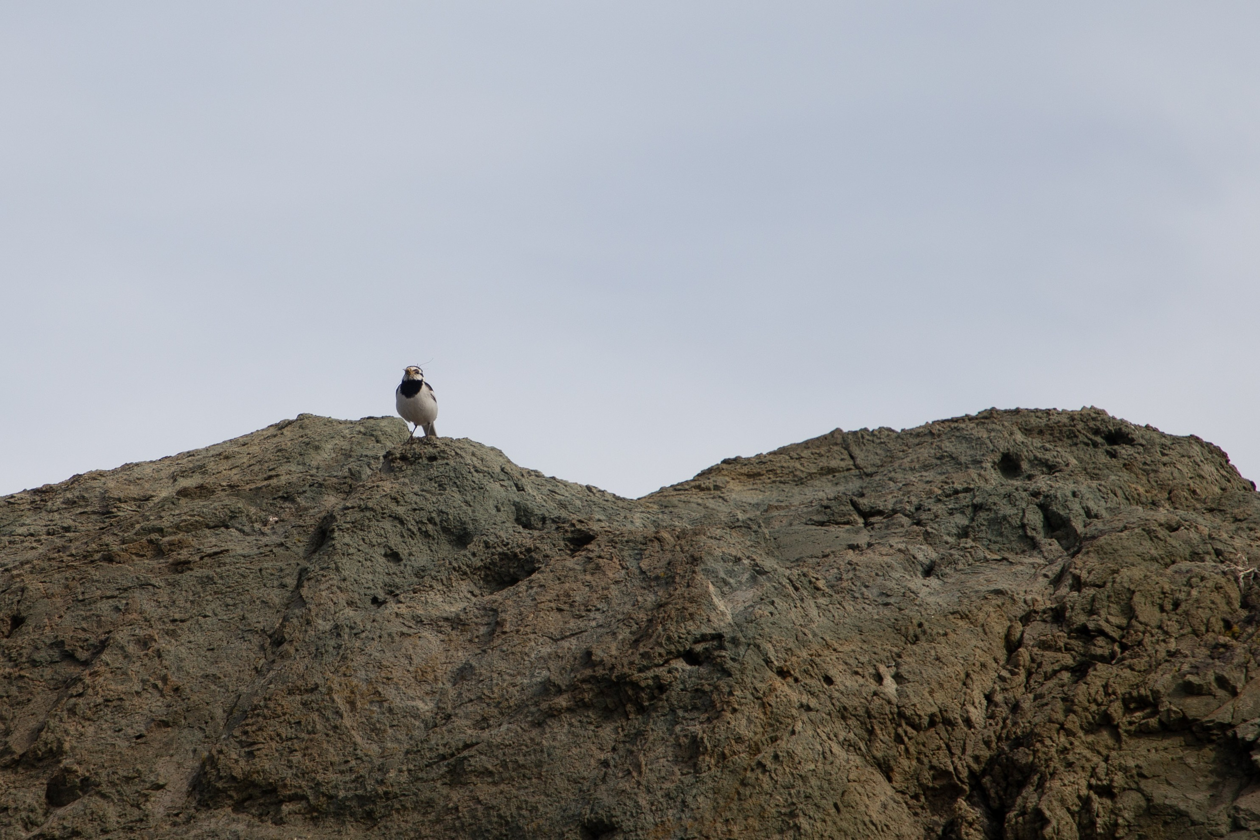 Съемка с Машей и Сашулей на мысе Полосатик. Ирина Чернова — портретный фотограф и маркетолог из Владивостока