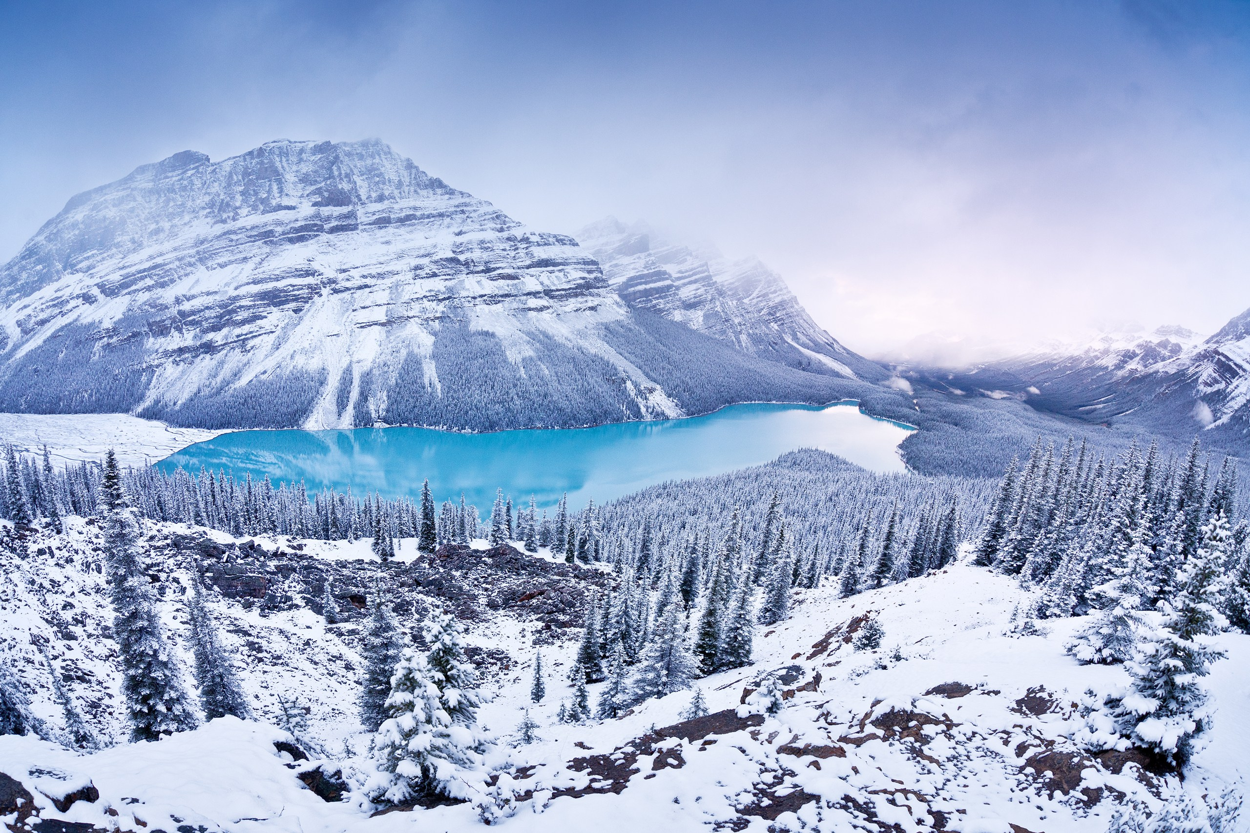 Фотограф Владимир Медведев