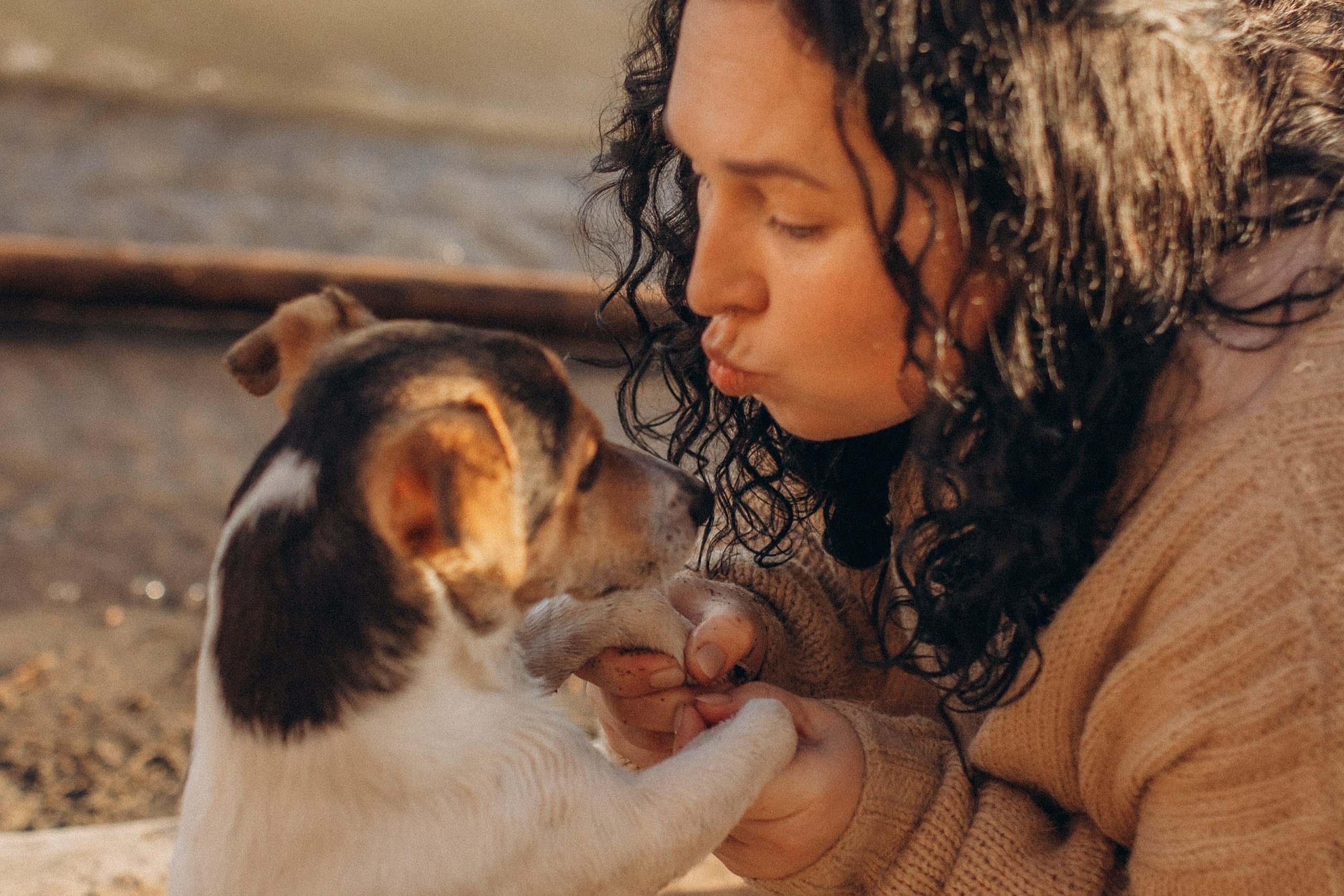 Юля, Милана, Тимур и Добби, осенняя история. Семейный фотограф lifestyle в Новосибирске Елена Шпилевая