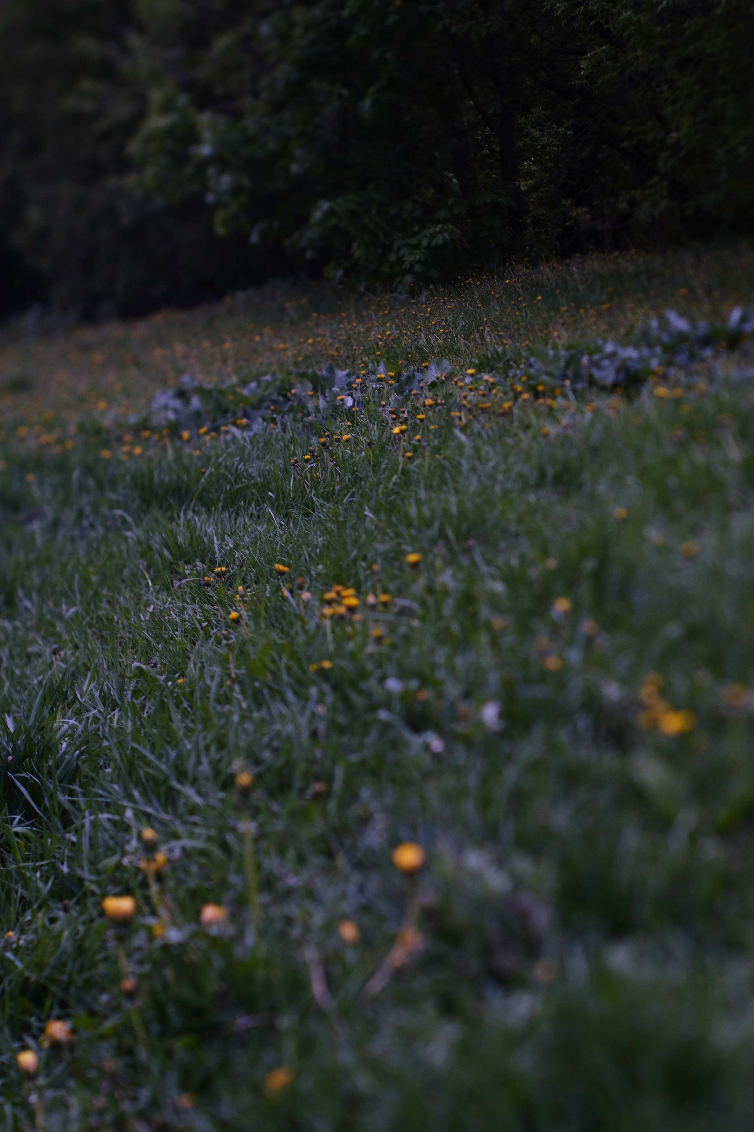 Художественные фото. Креативный фотограф в Москве Арапова Виталия