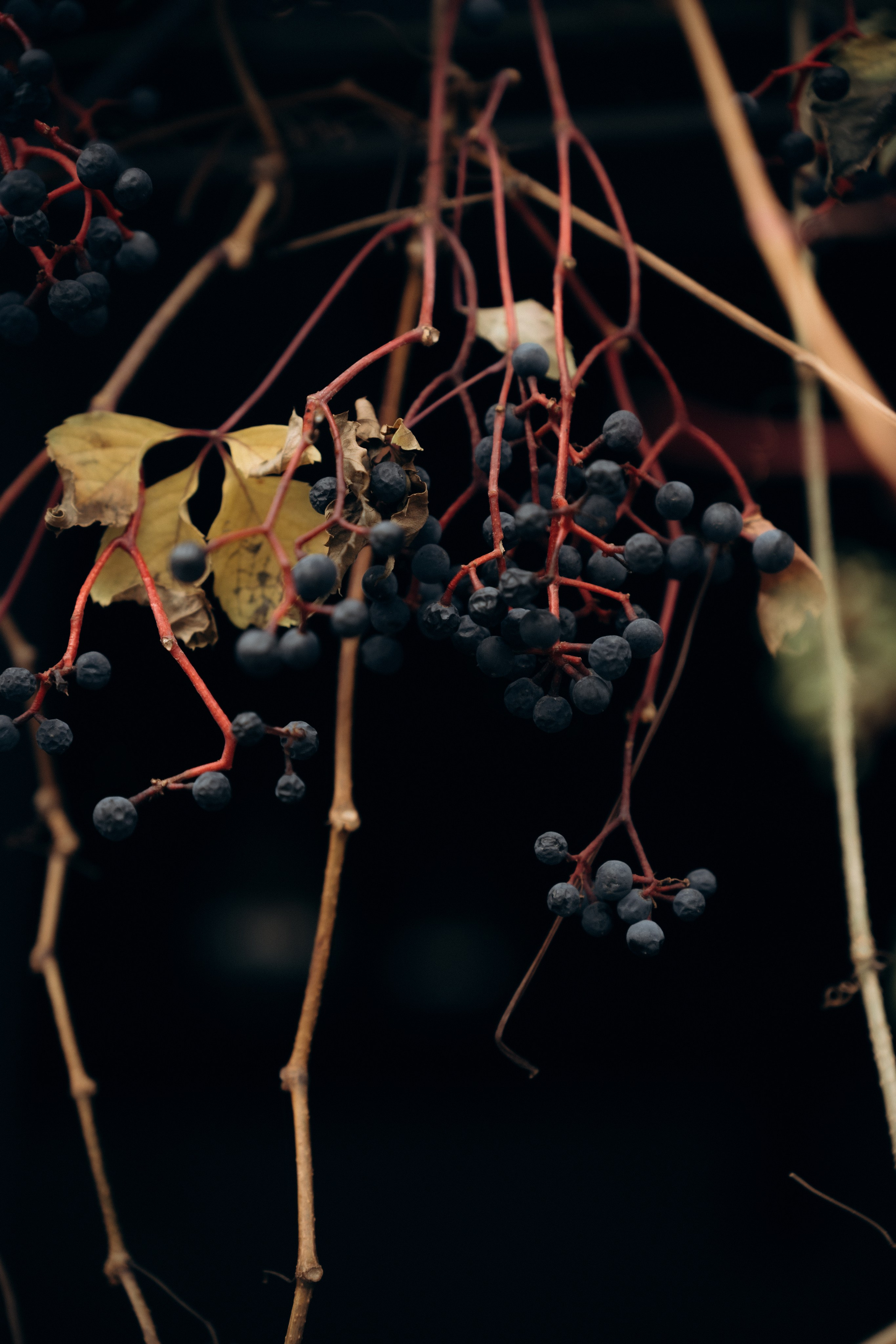 Артур и Анна. Ирина Гонтарева|Фотограф|Белгород