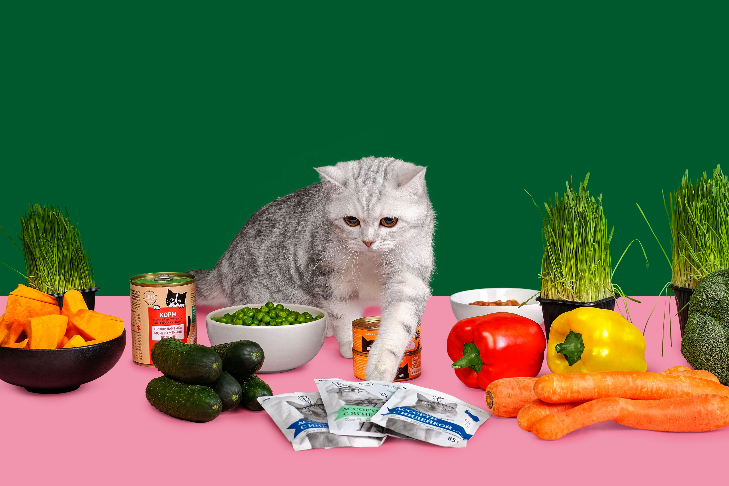 Постпродакшн и ретушь в Москве | Ретушь для Вкусвилл