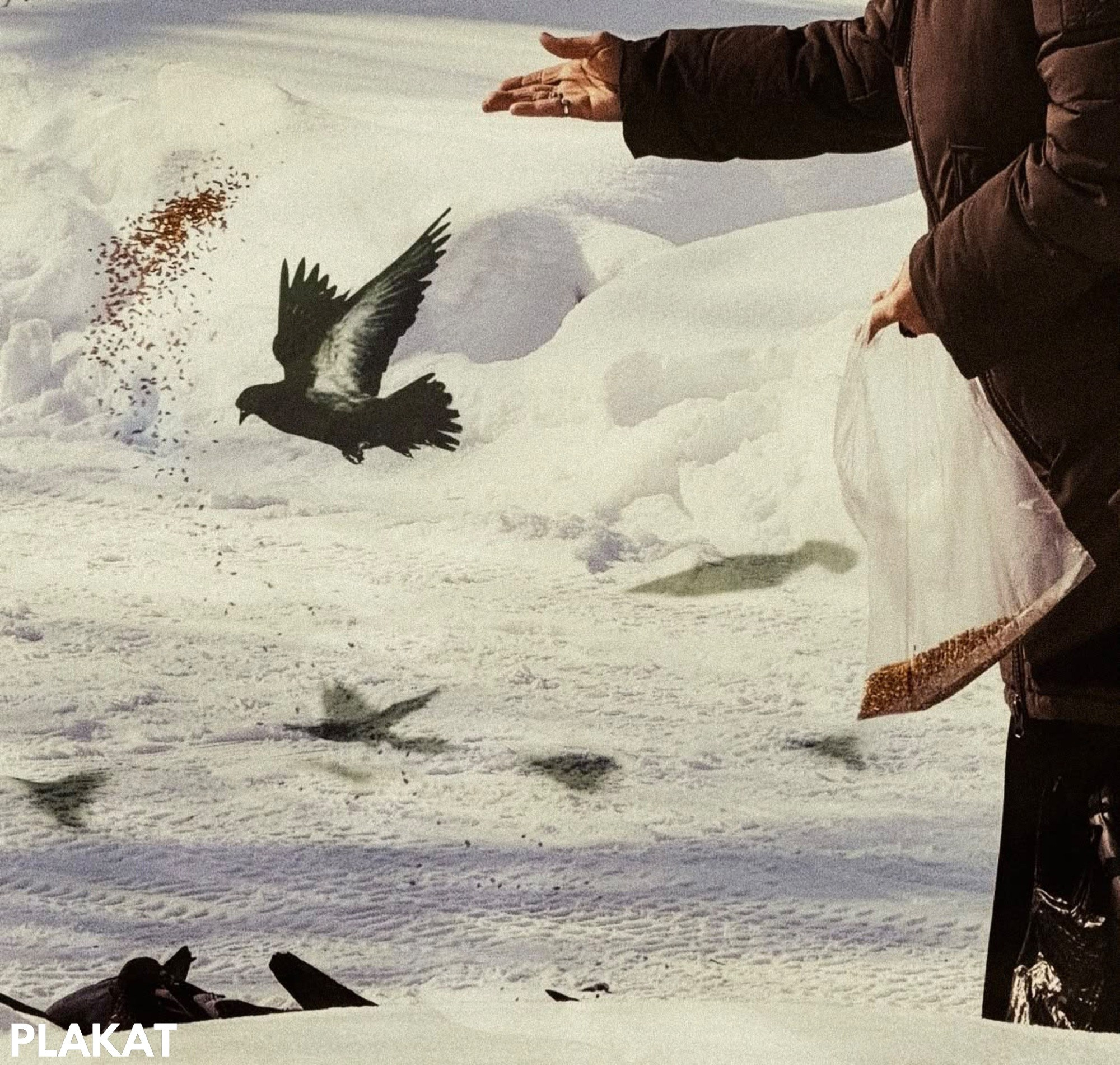 @Coffe_cat_mandelshtam