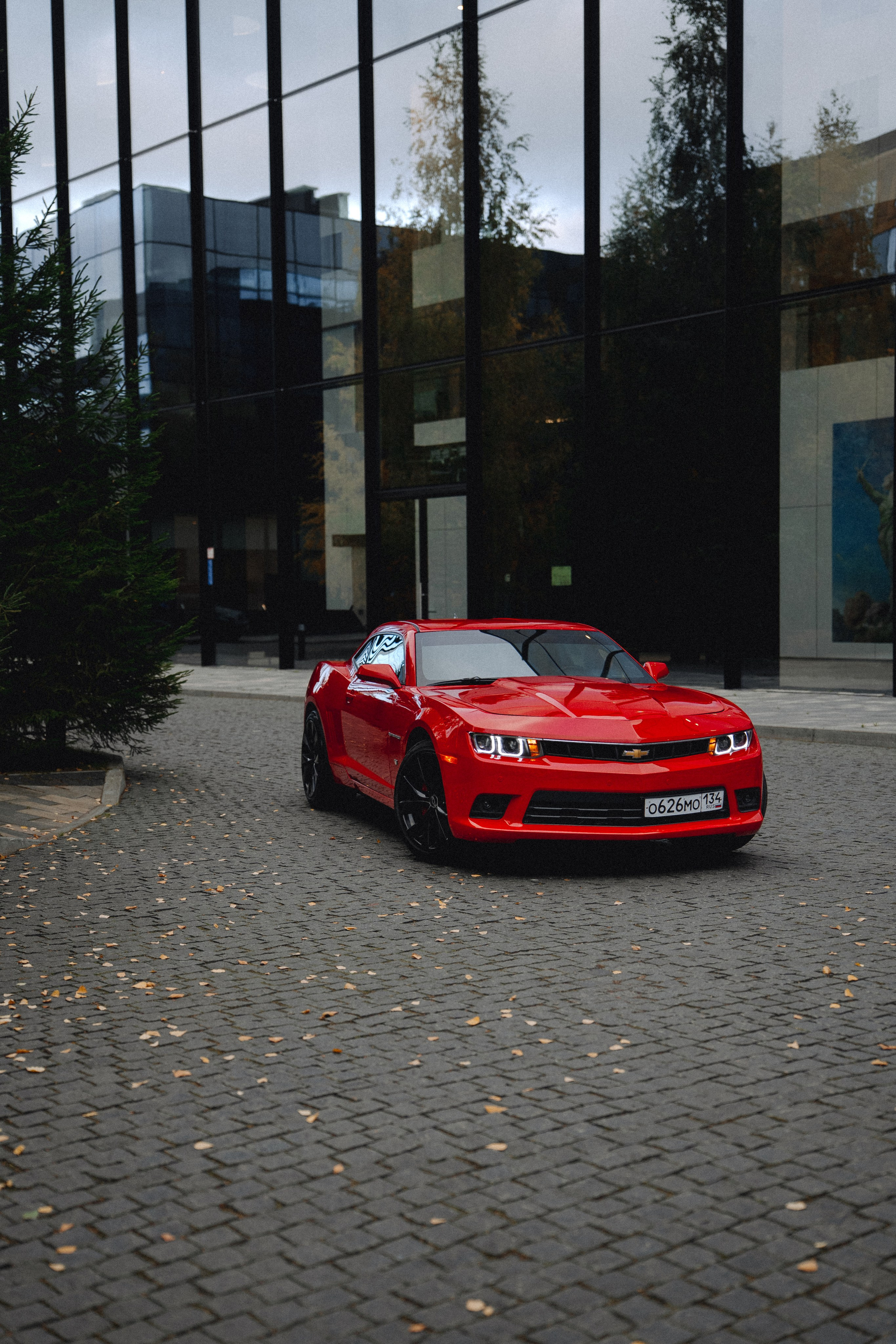 Диана + Camaro. Фотограф в Санкт-Петербурге Мария Александрова