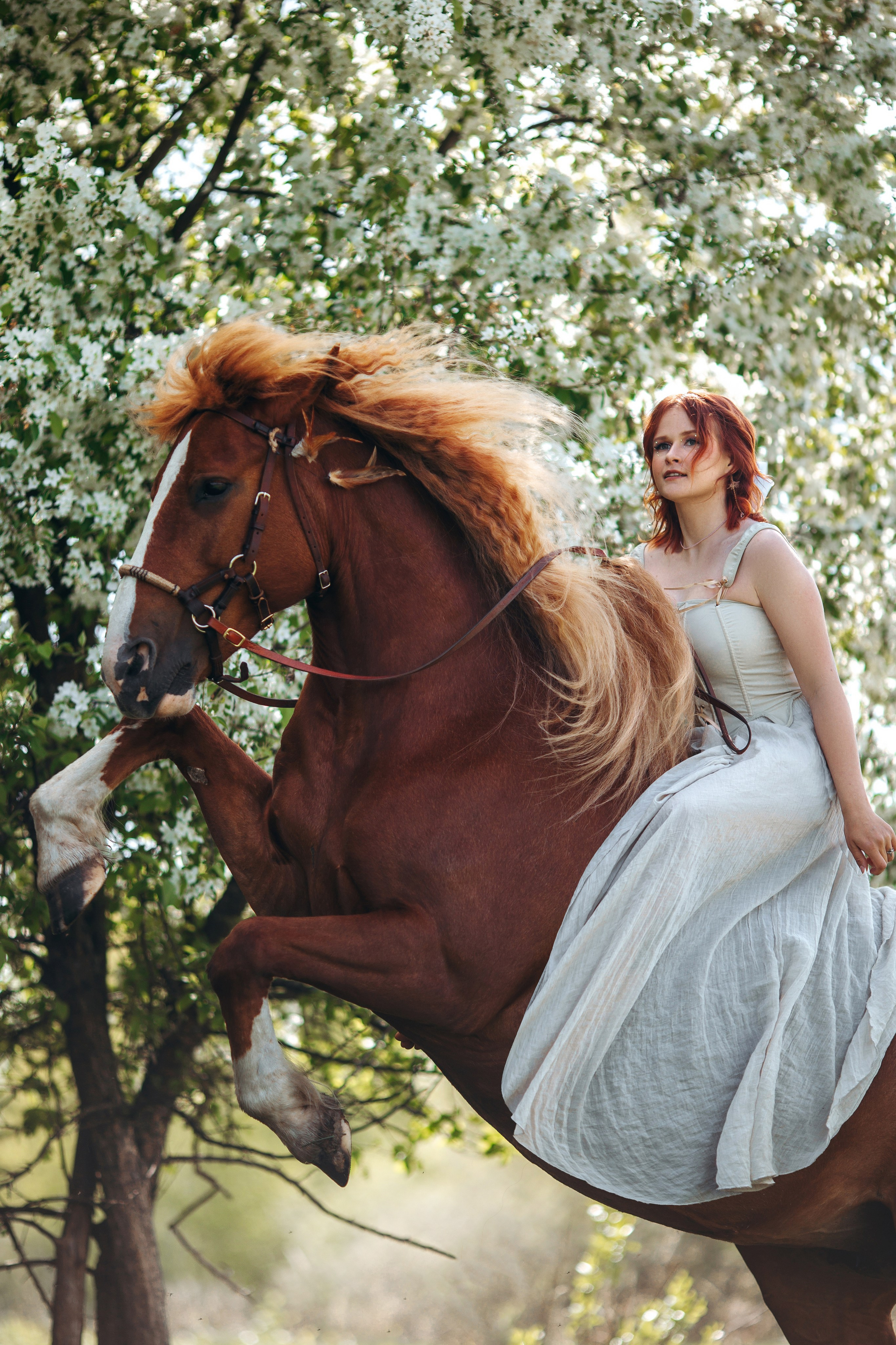 Весенние цветения. Анна Молчанова конный фотограф в Тюмени | фотосессии с лошадьми Тюмень