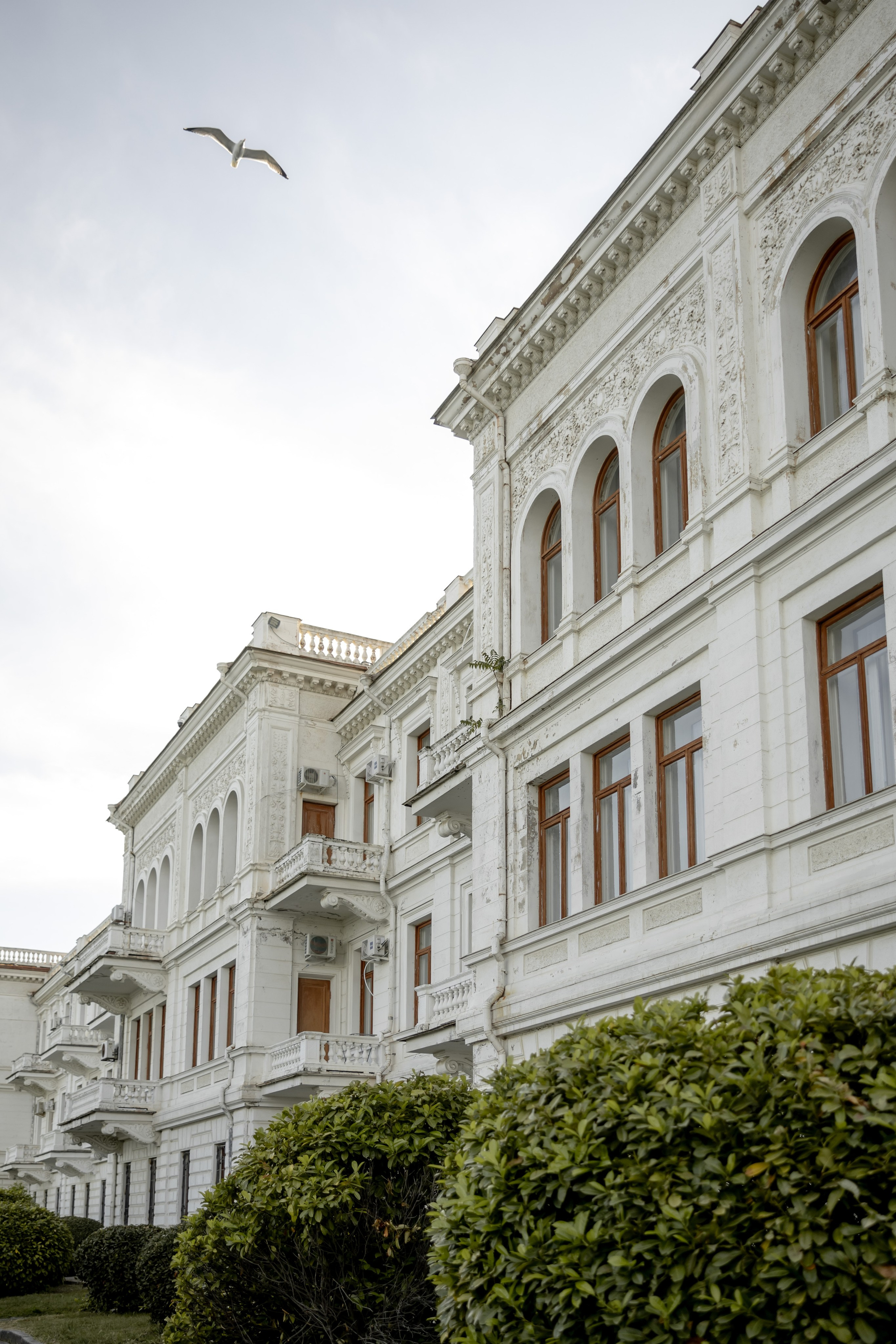 Алексей и Татьяна 31/05/2025. Свадебный и семейный фотограф в Севастополе и в Крыму Анастасия Корчак