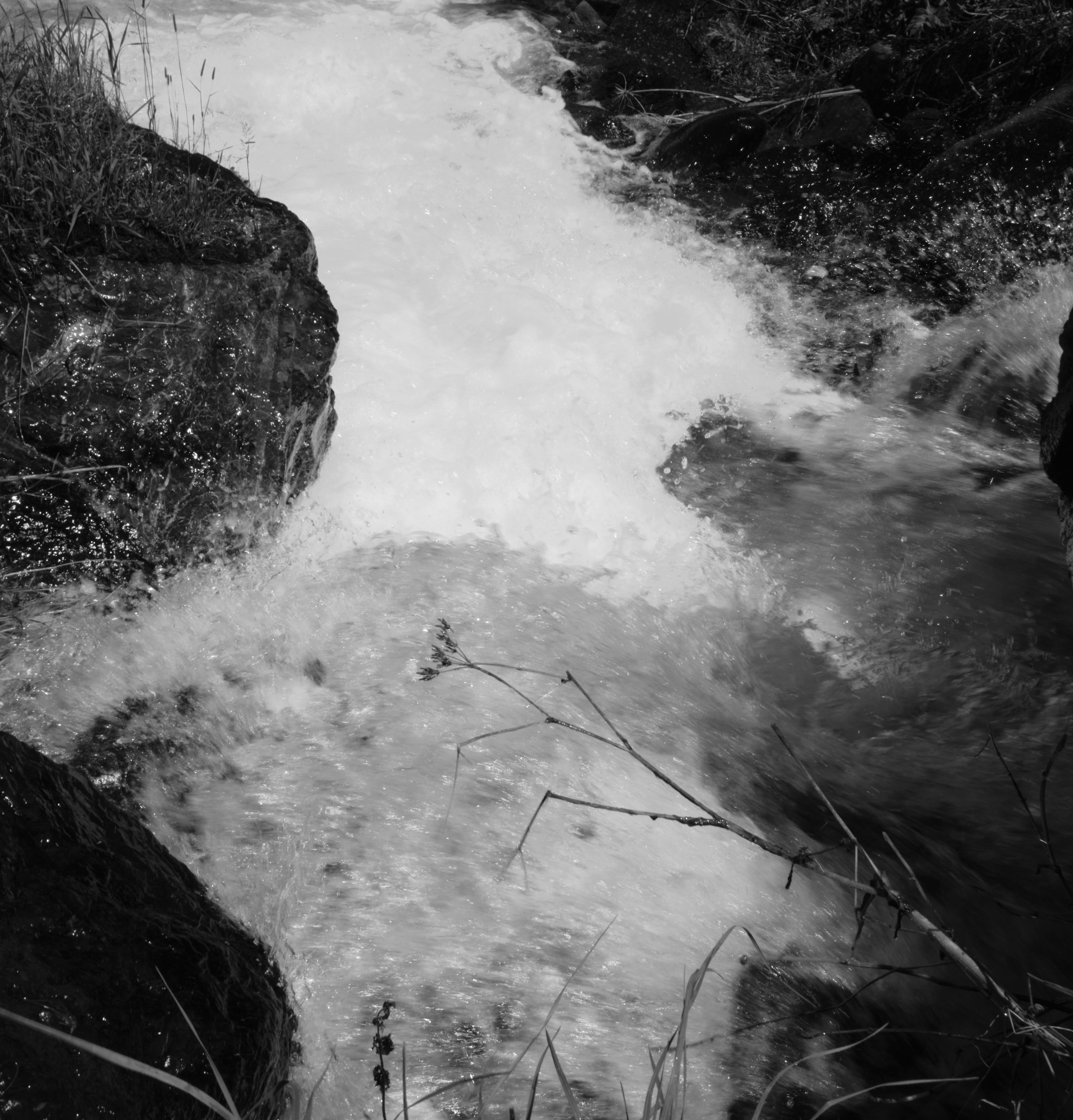 накатка на пенокартон, фотоотпечаток для галерей