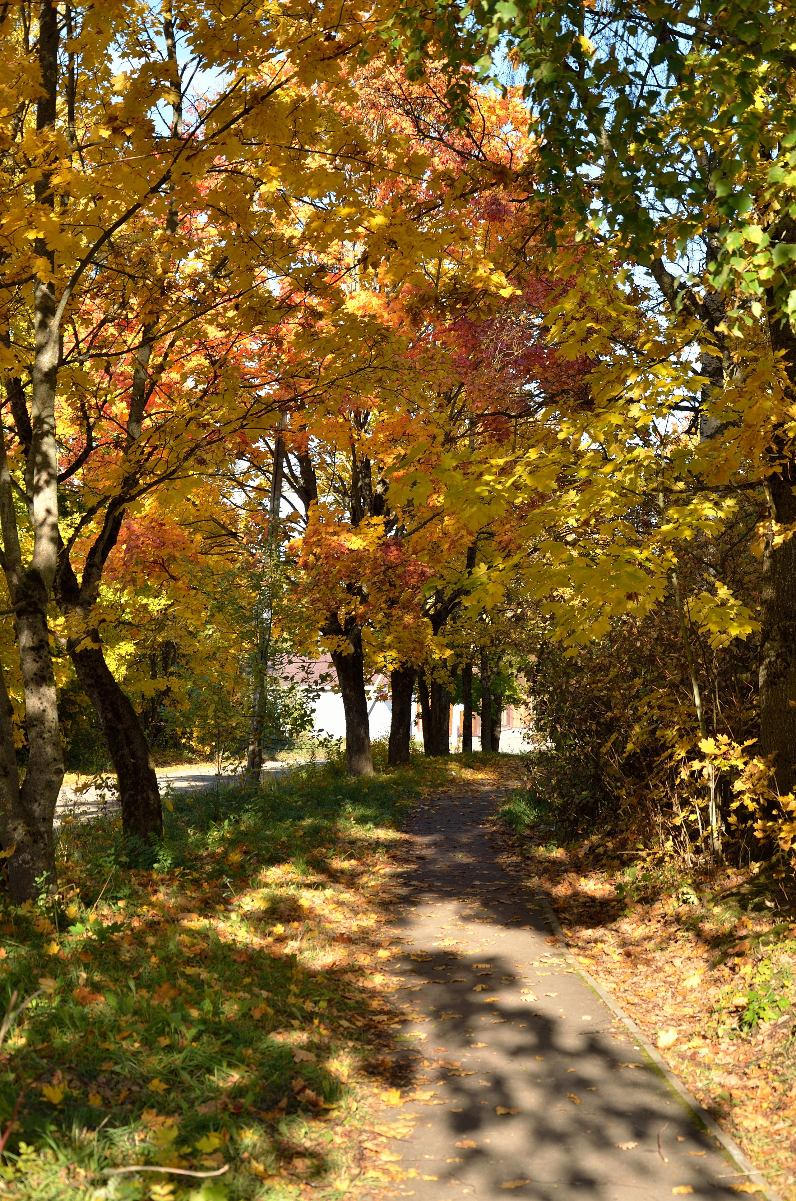 Природа и анималистика. Добро пожаловать на мой сайт, меня зовут Наталия, я фотограф