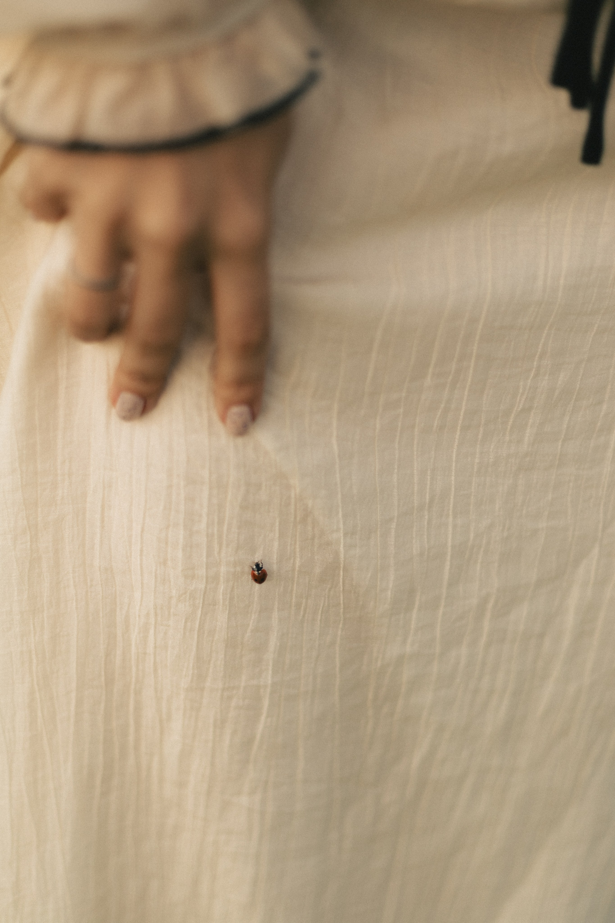 Михаил и Юлия. Фотограф свадебных и парных историй Кристина Шакула