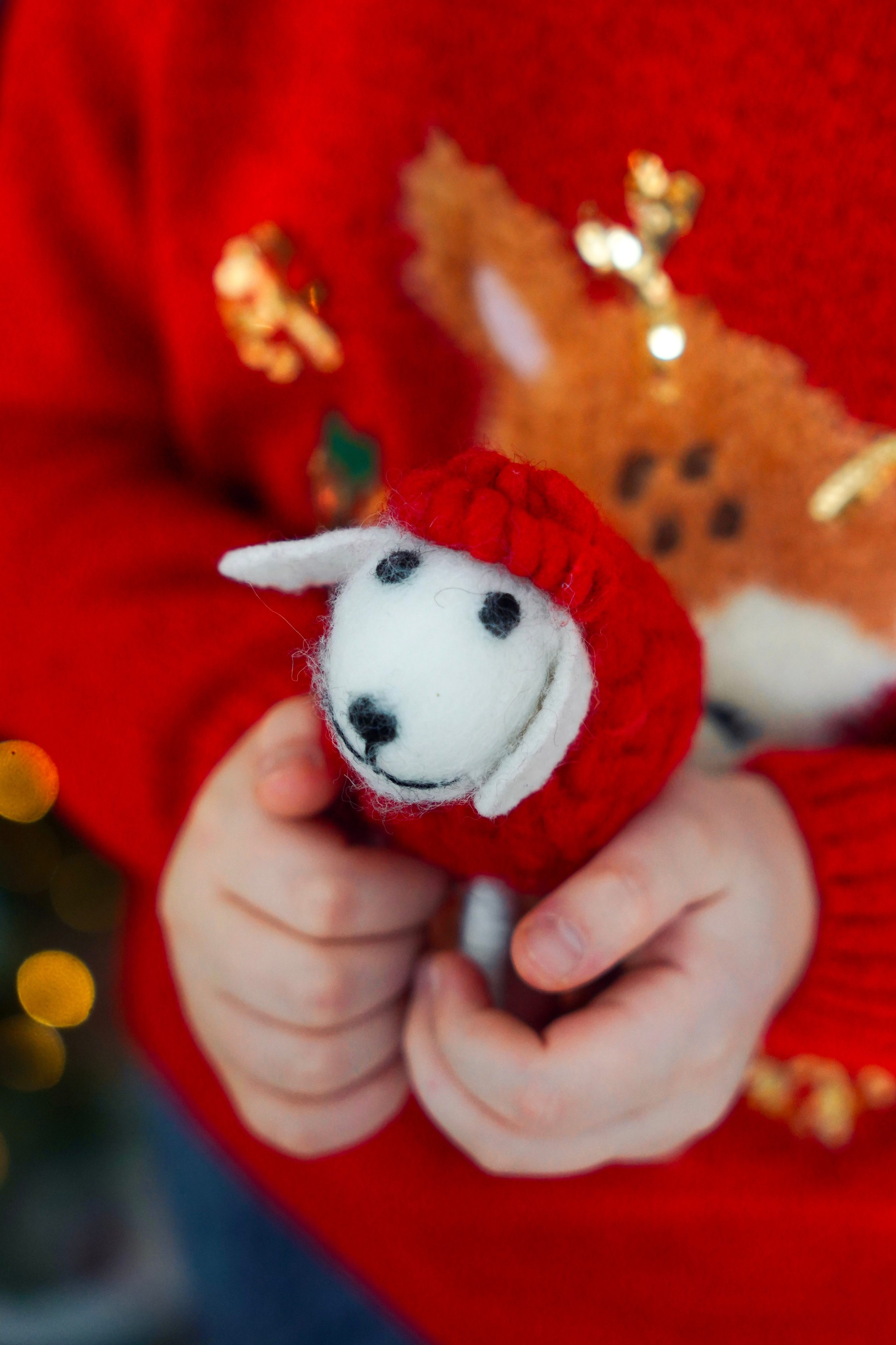 Новогодний фотопроект 2025 № 3. Семейный и детский фотограф Александра Гвоздикова