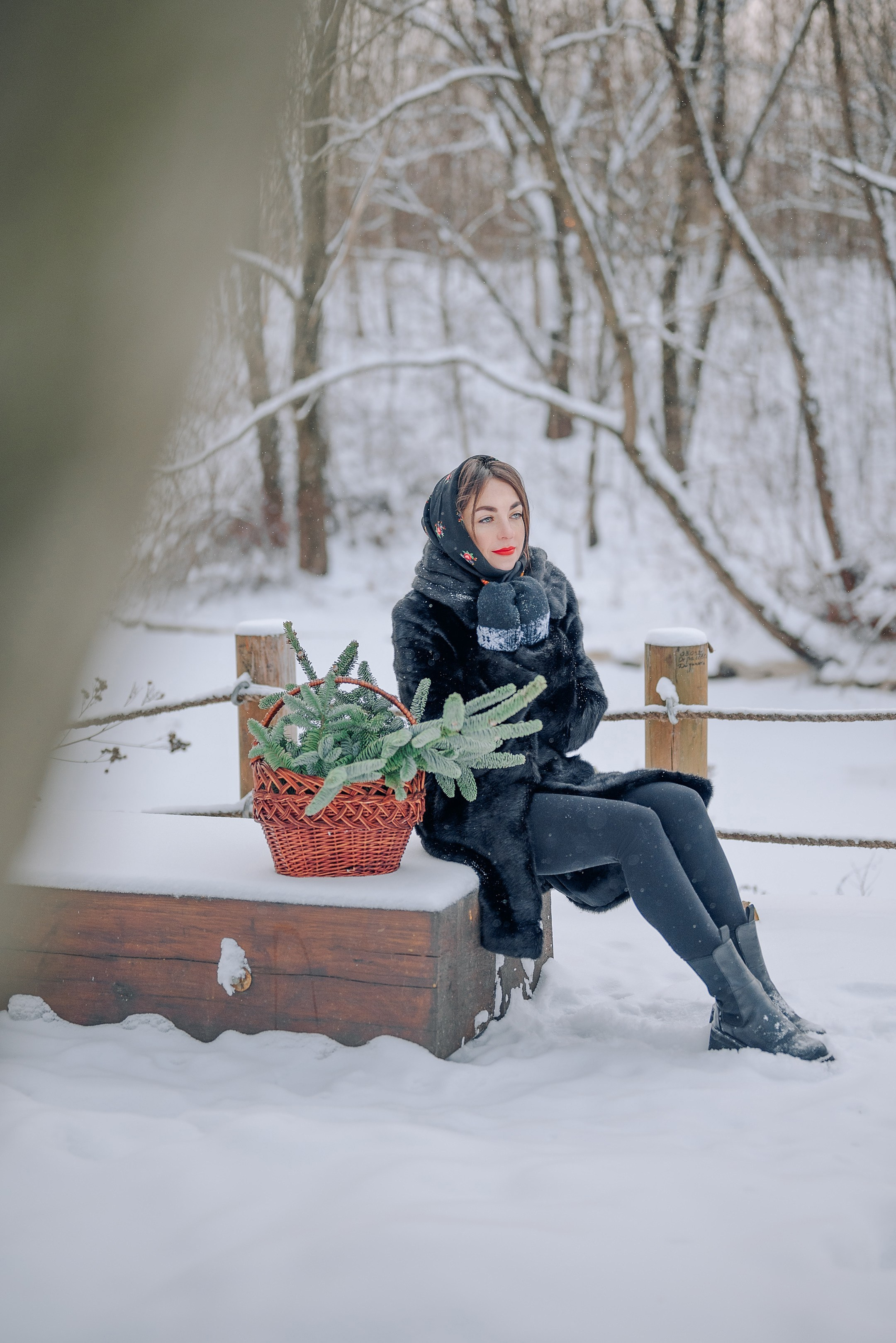 Звенит январская вьюга. Дарья Медведева