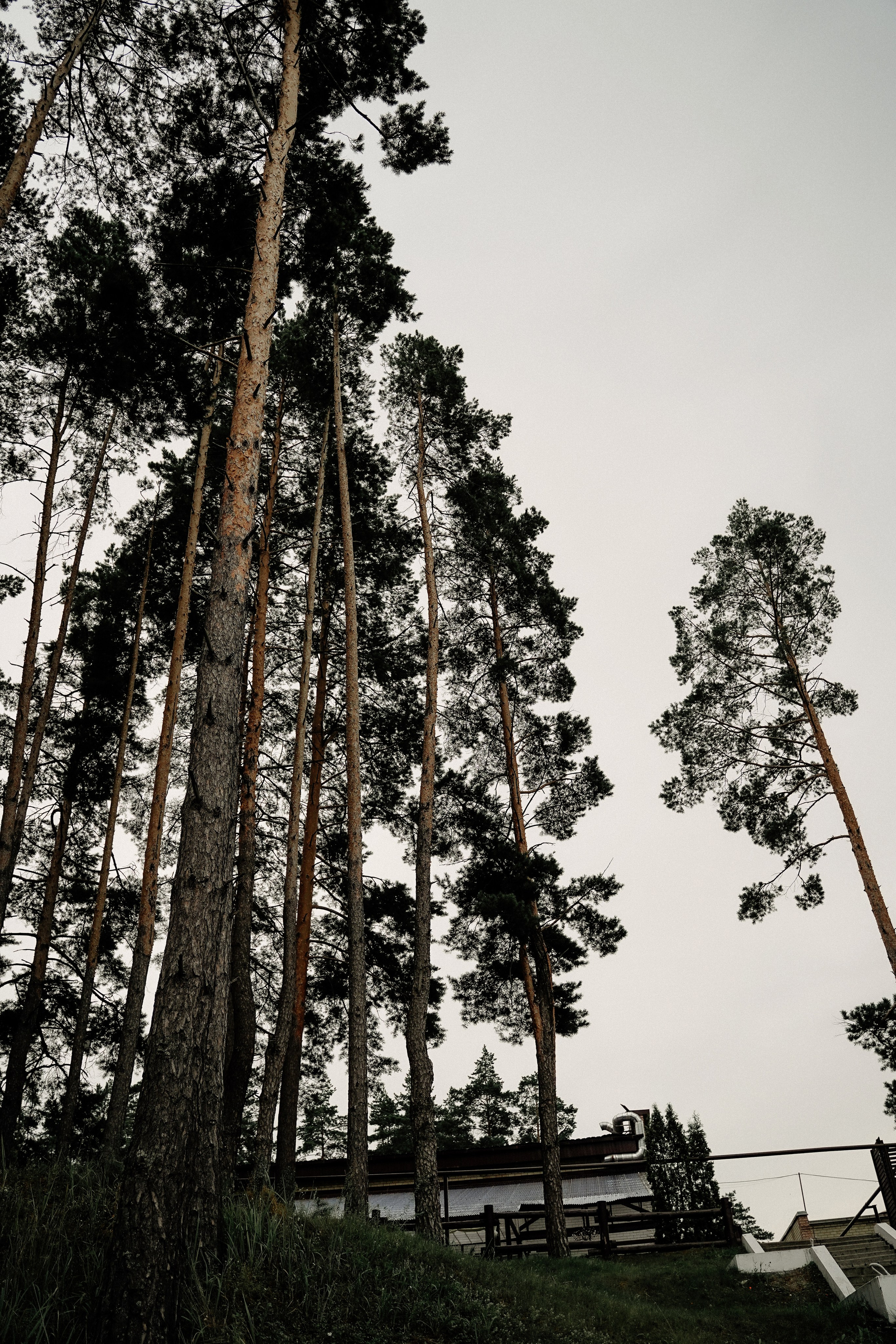 Анна & Артем 2025. Фотосъемка и видеосъемка свадеб Липецк