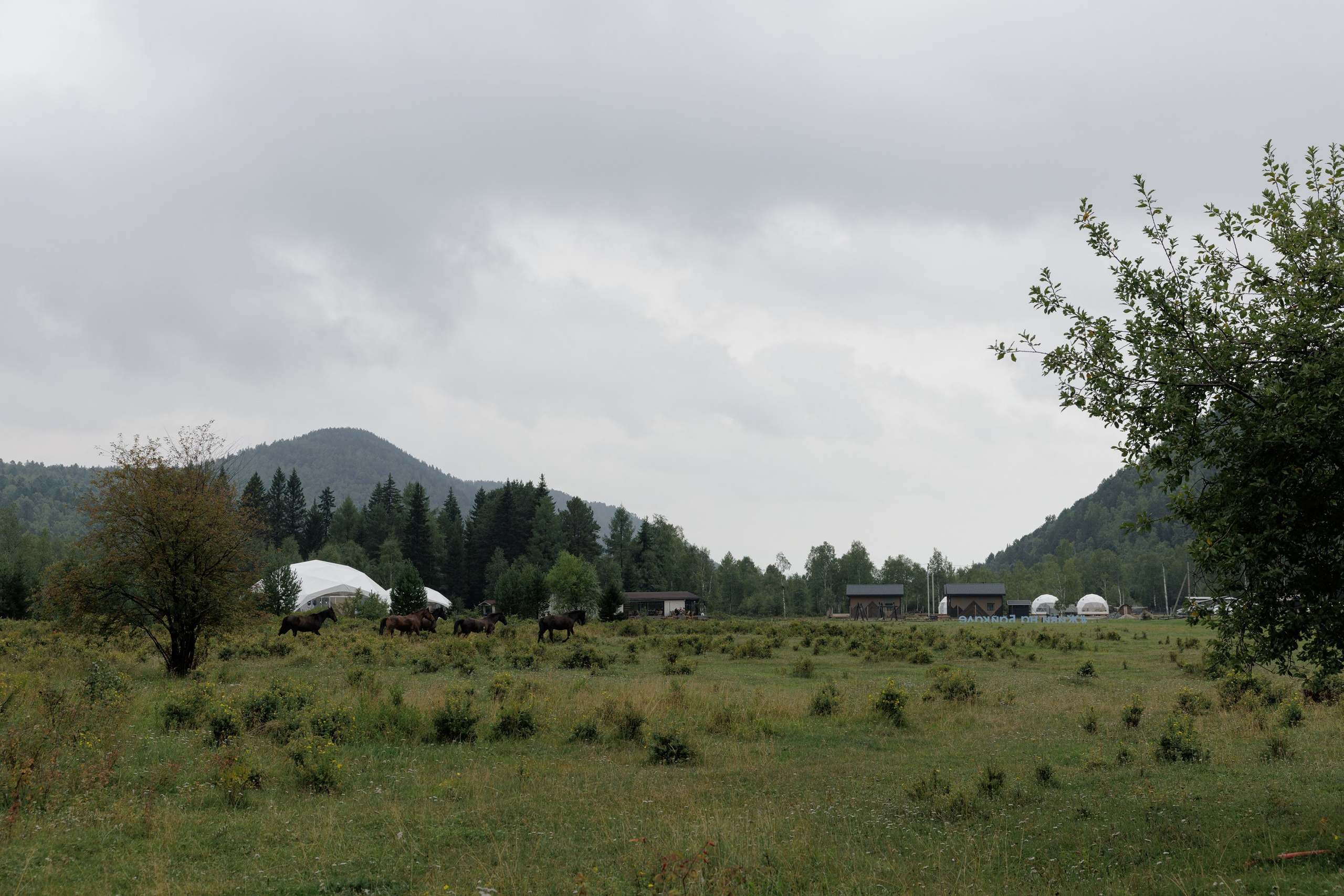 Свадьбы. Свадебный фотограф