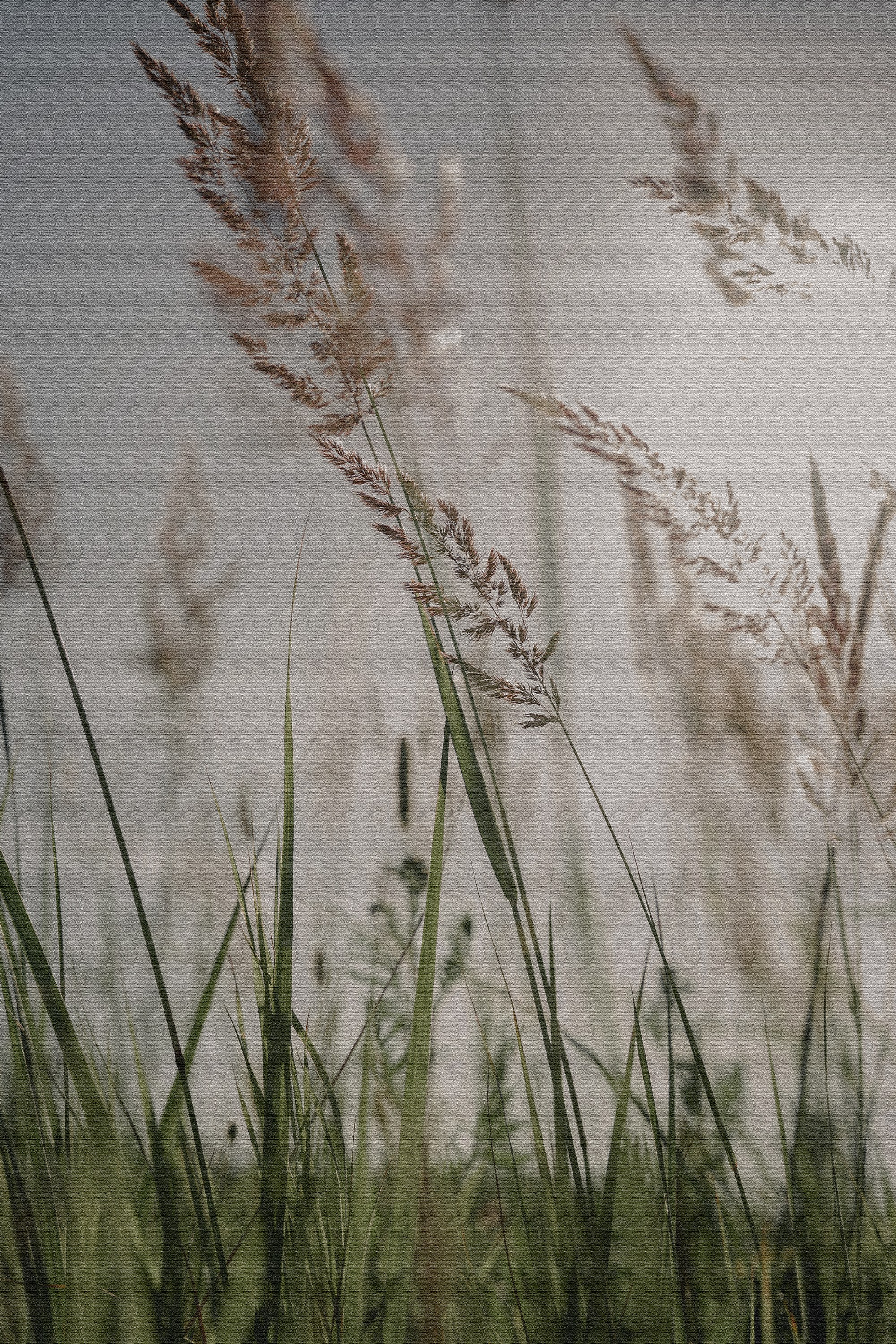 Ботаника. Контент-фотограф в Нижнем Новгороде Антошина Ольга