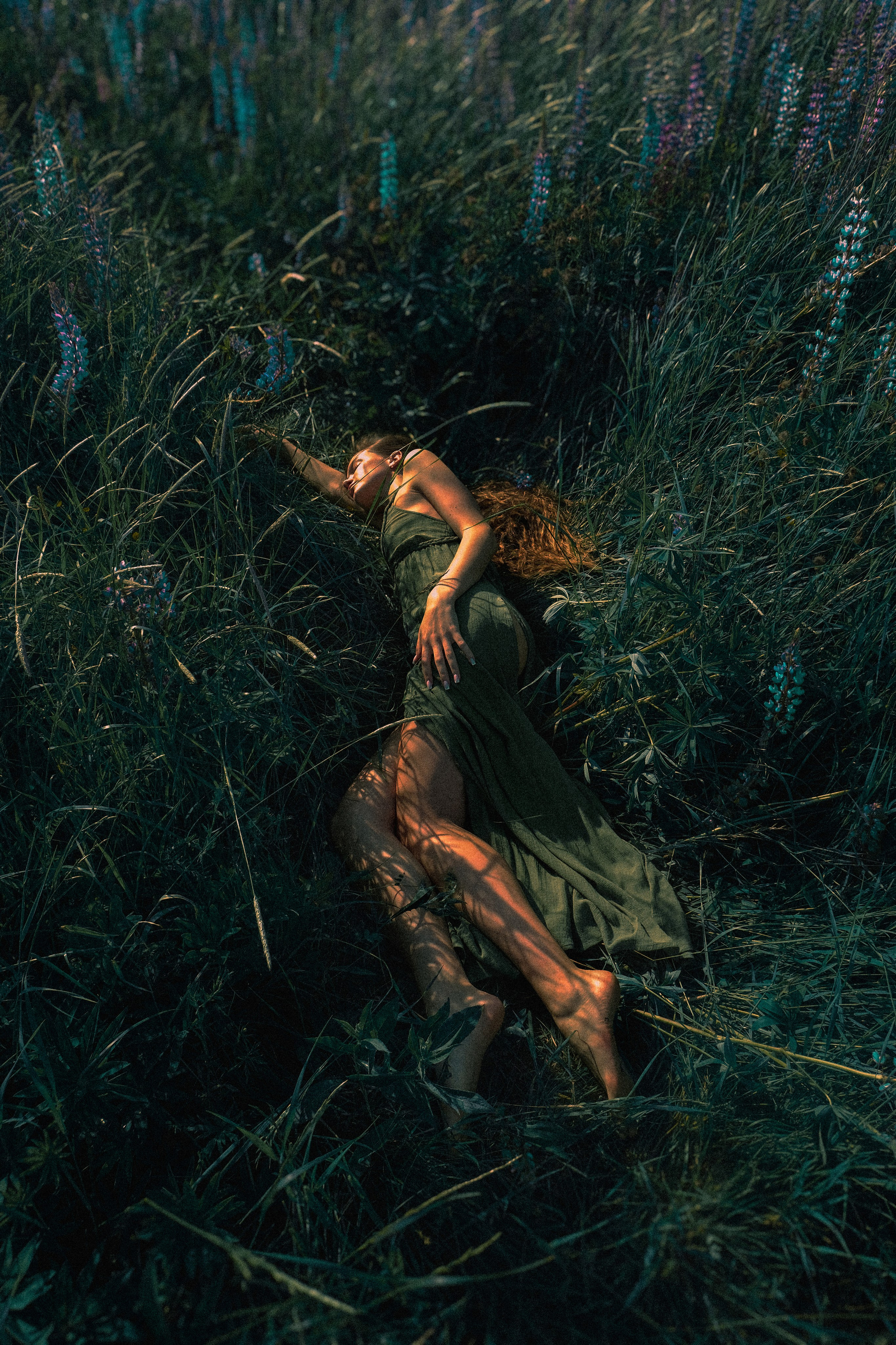 Люпины. Художественный фотограф СПБ, Дубай