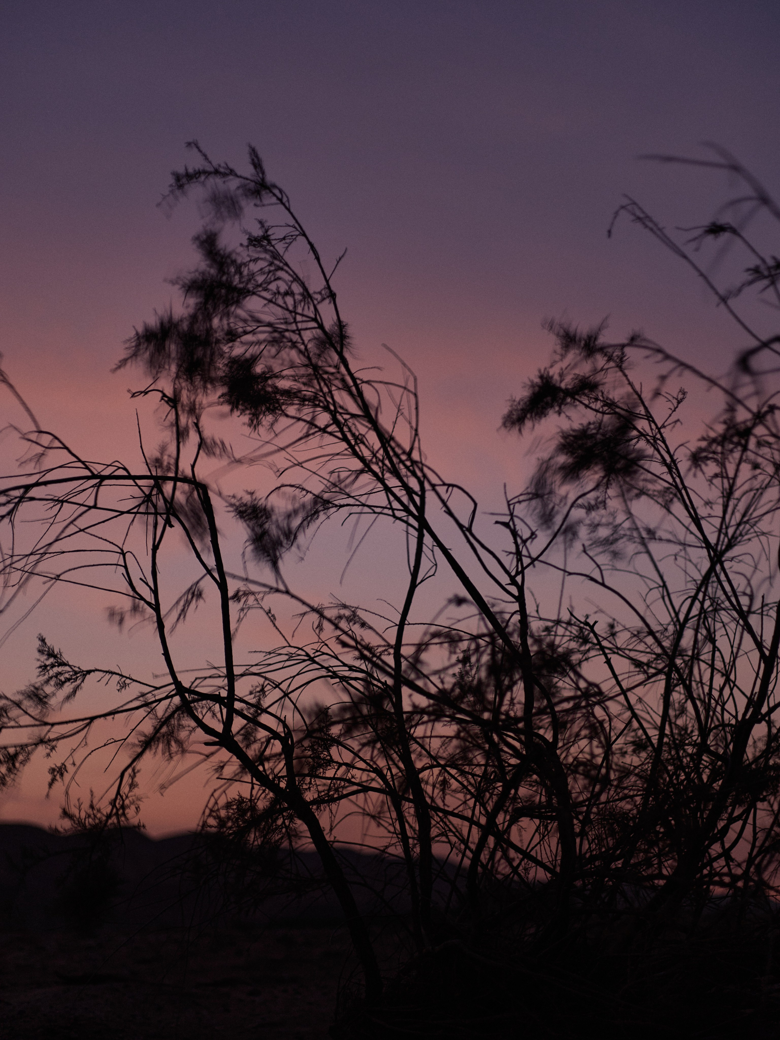 Другое 3. Jorgis Talè — photographer, kind person, teacher of arts and other mag