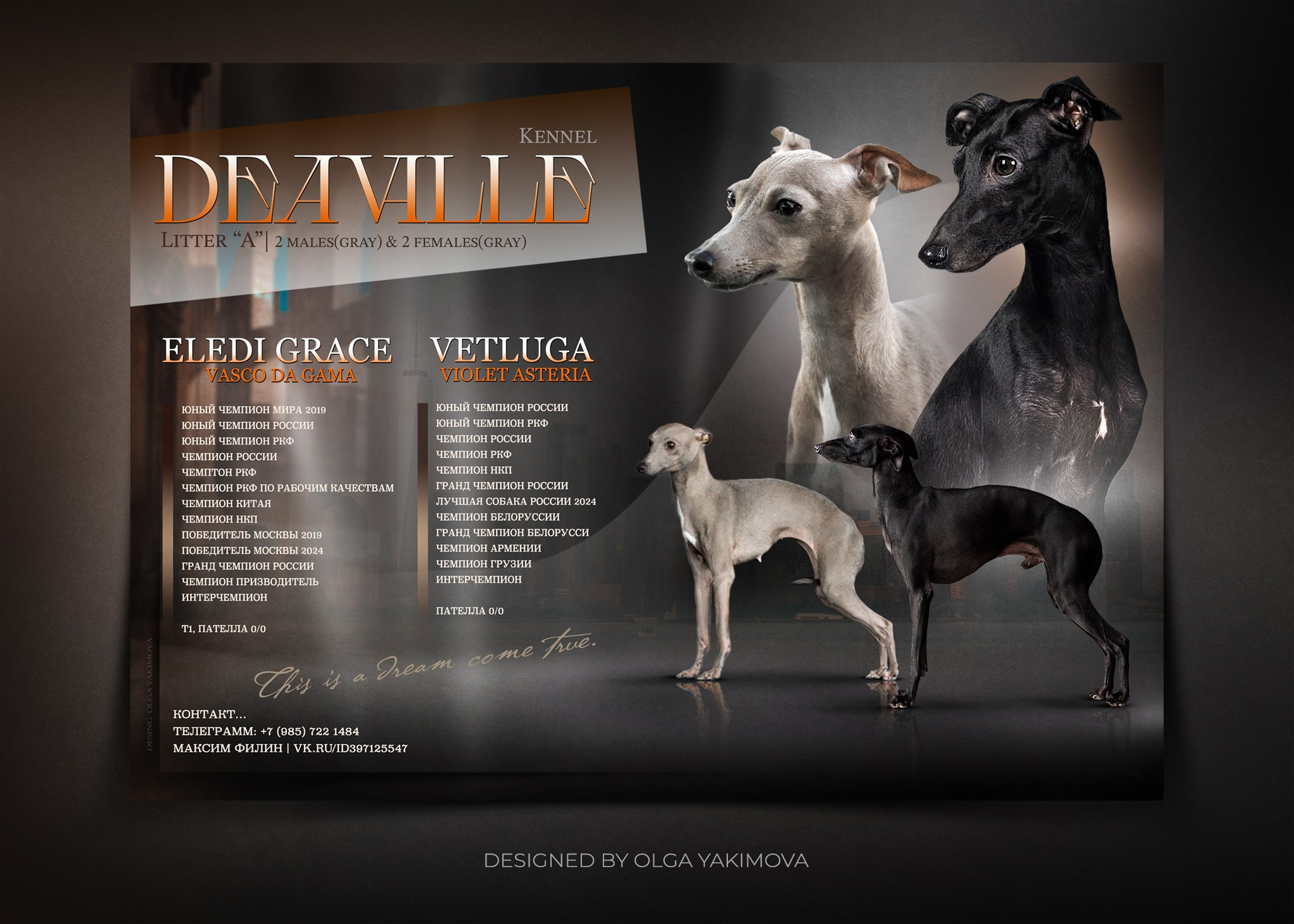 Animal presentation. Фотограф