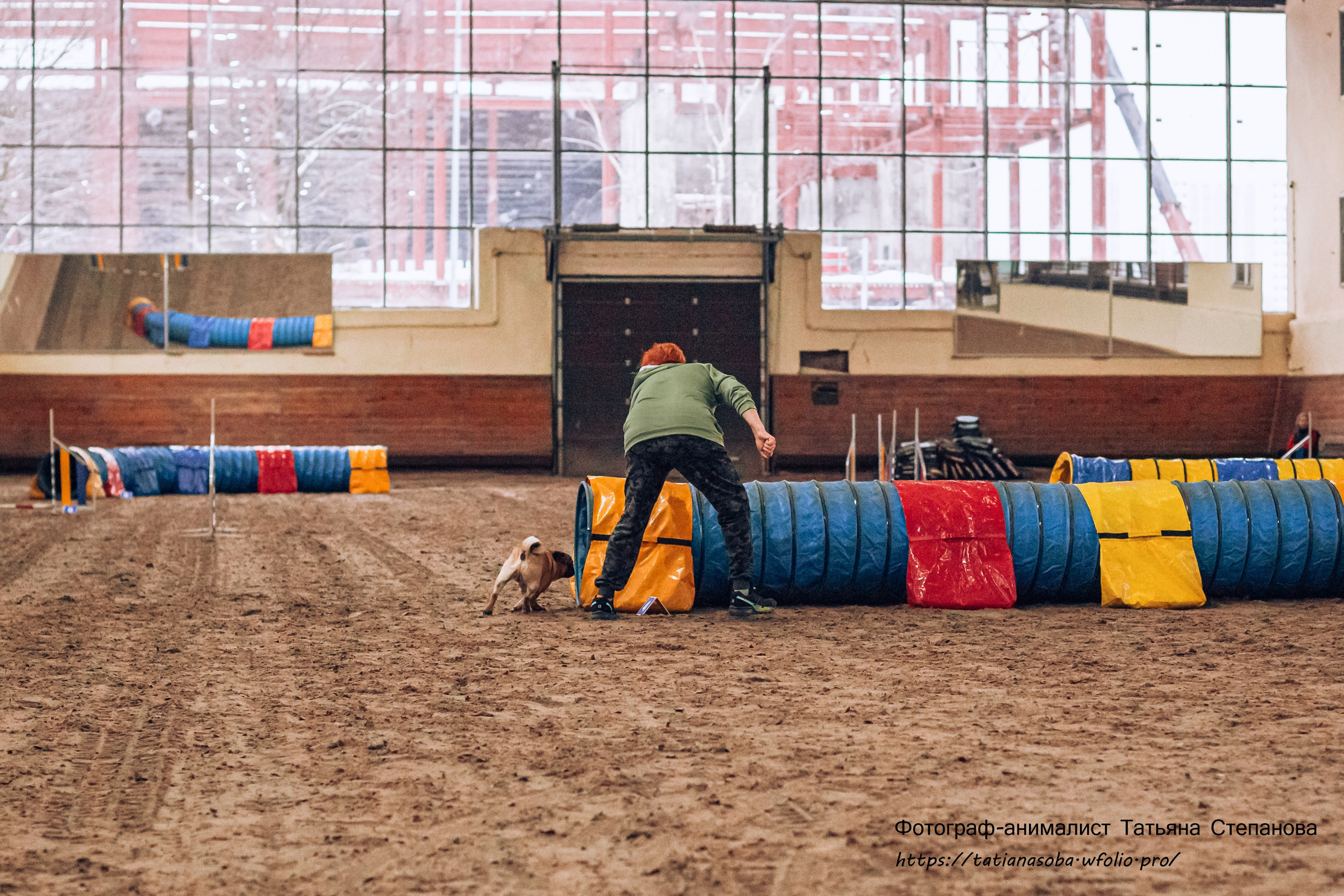 Соревнования по Аджилити 25.02.2024. Фотограф-анималист Татьяна Степанова