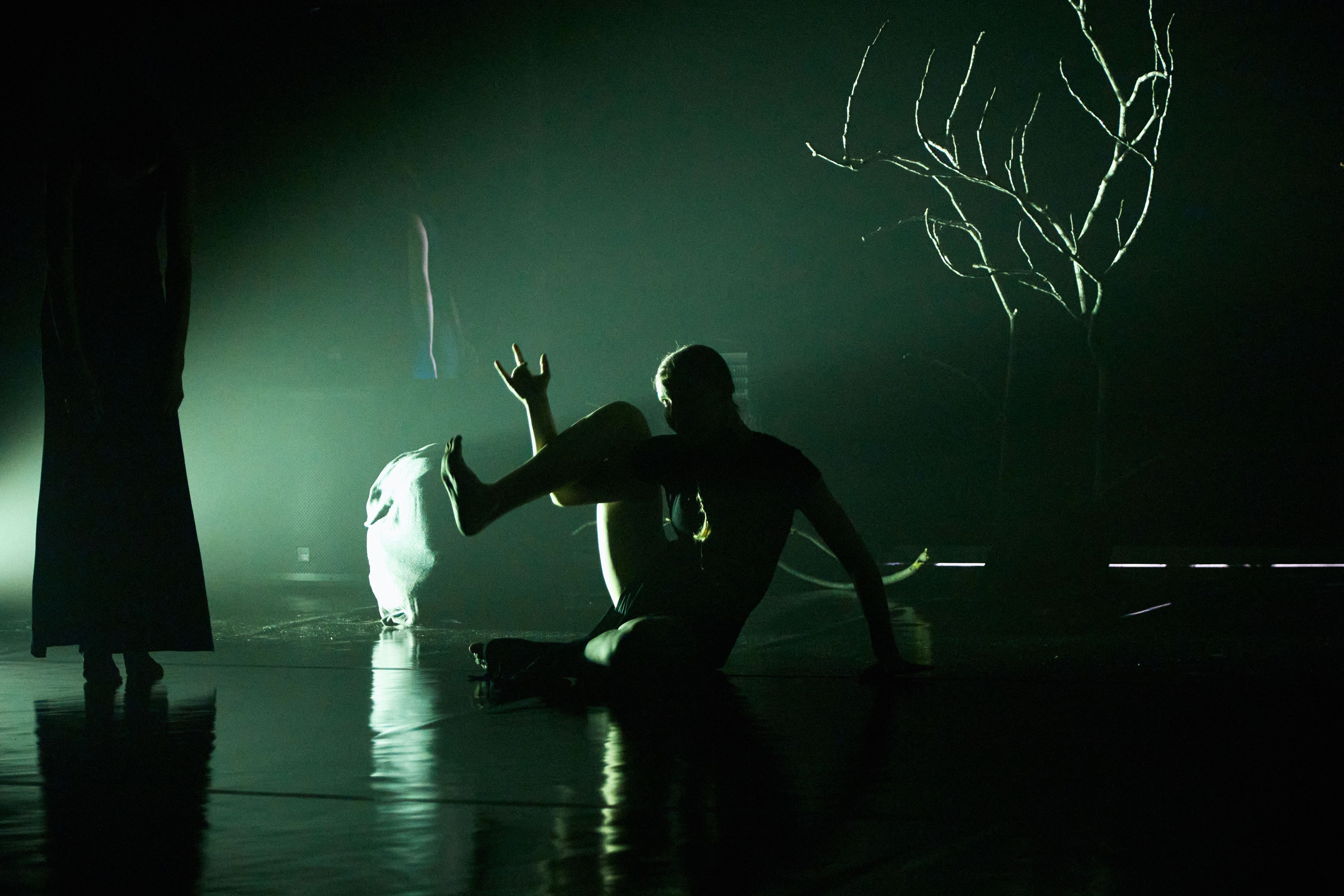 Спектакль «БезДна» театра танца «Скрим». DENISOV ART (фото, видео, дизайн) САМАРА