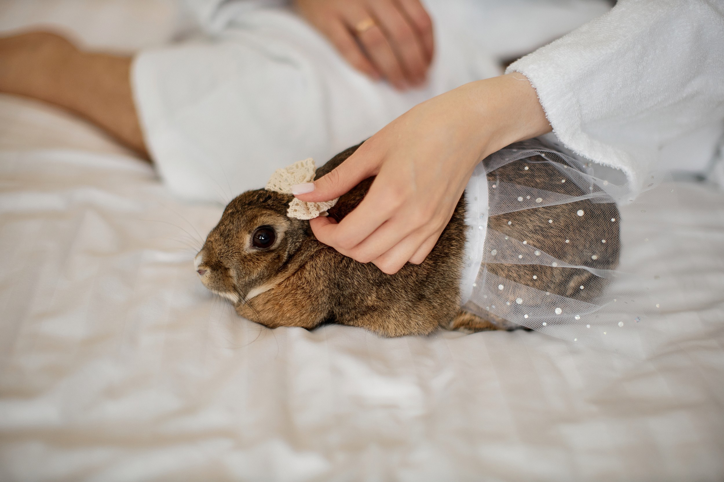 Женя и Яна. Свадебный фотограф Челябинск, Екатеринбург, Курган — Виктор Слуднов