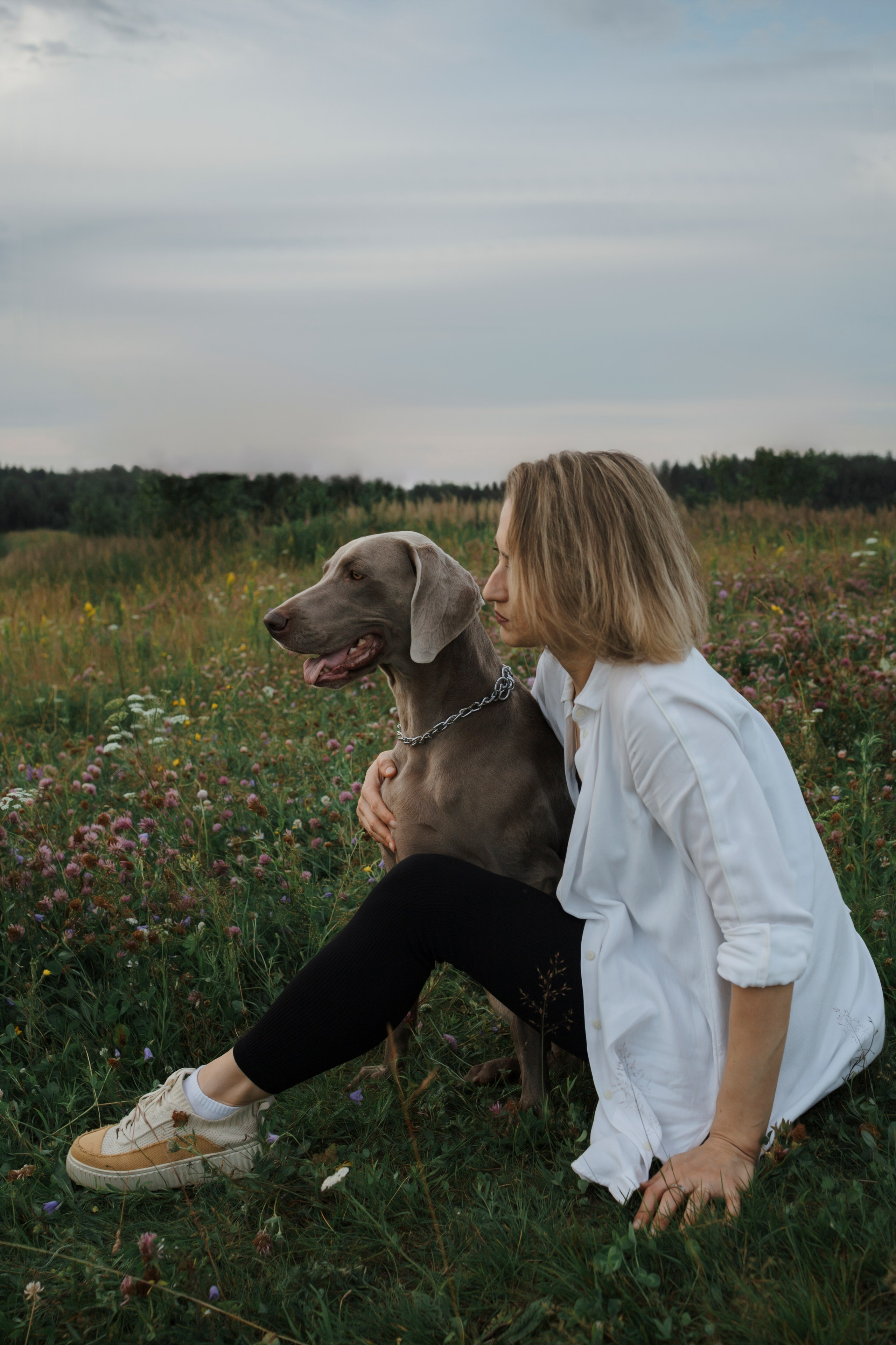 Маргарита и веймаранеры. Фотограф-анималист в Санкт-Петеребурге Титова Алиса