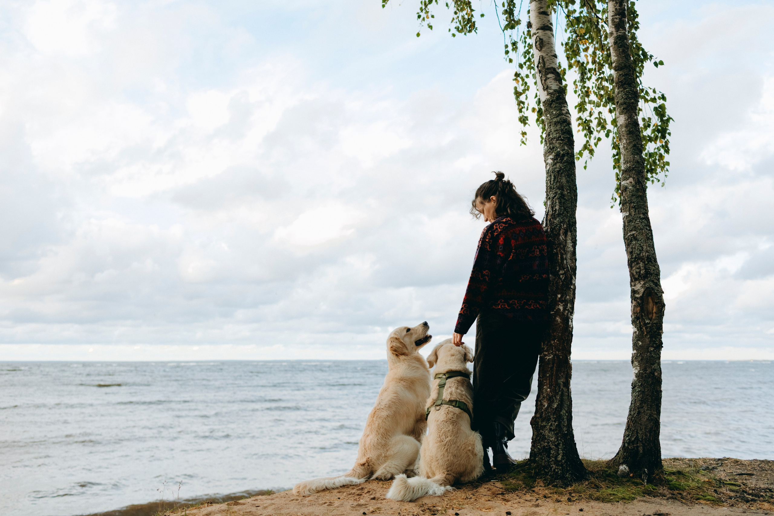 Прогулка Насти с Арчи и Арагоном. Фотограф-анималист в Санкт-Петеребурге Титова Алиса