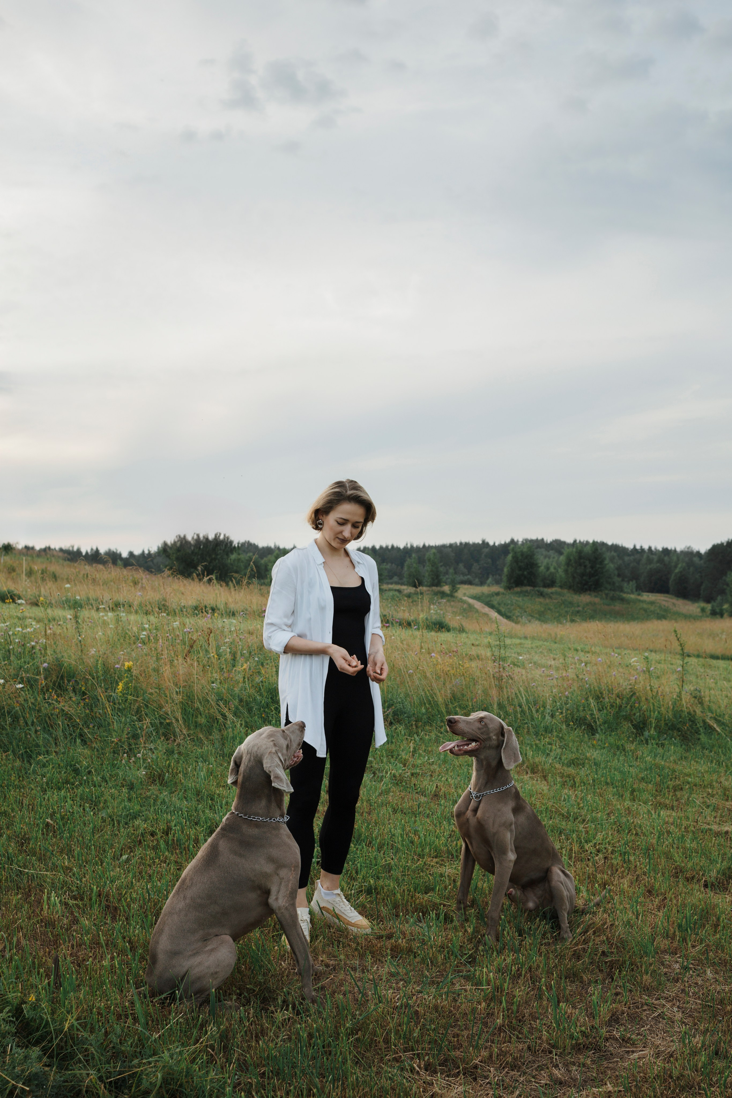 Маргарита и веймаранеры. Фотограф-анималист в Санкт-Петеребурге Титова Алиса