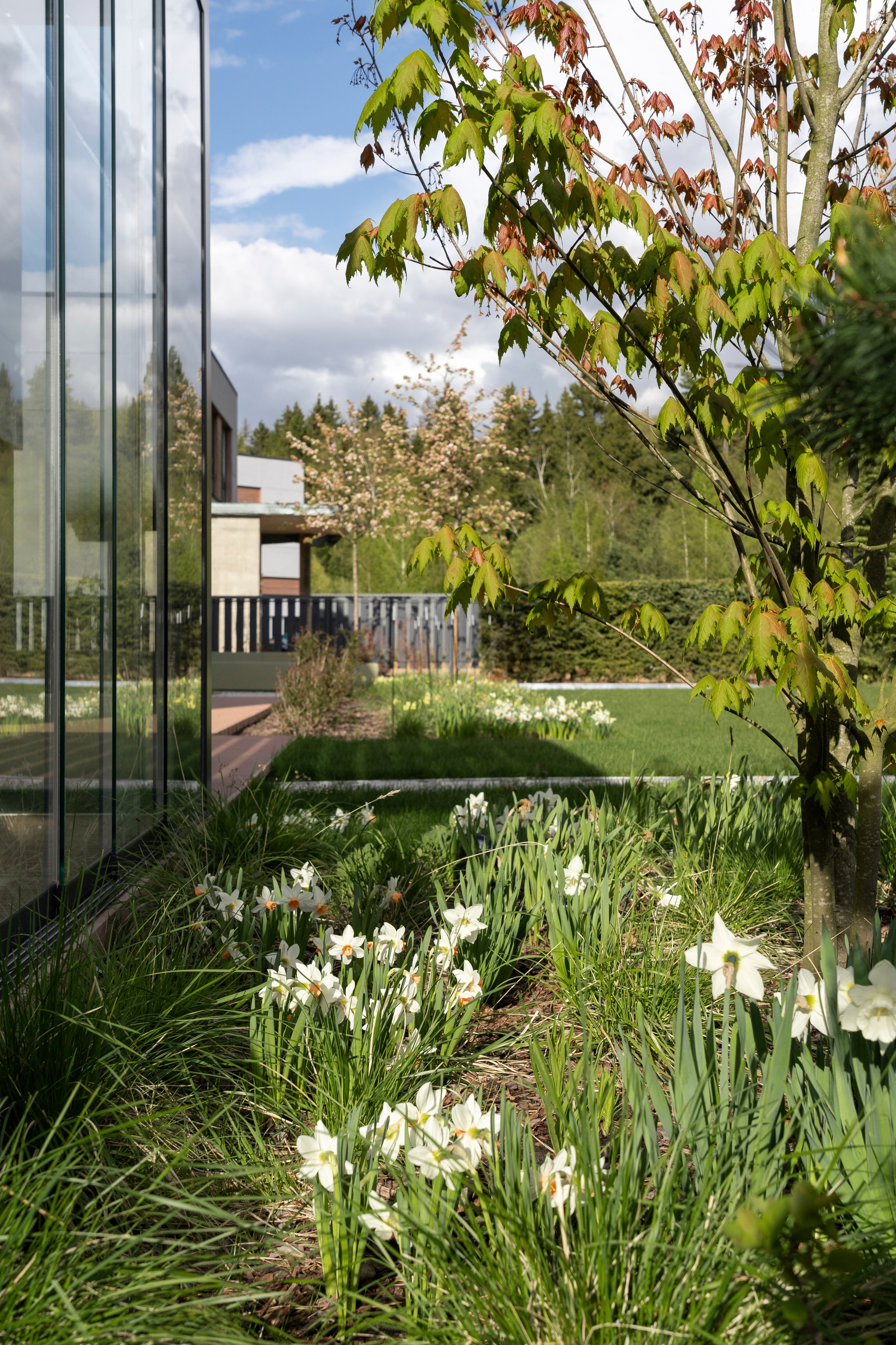 Blooming in the garden, Moscow region. Артамонов Александр | Архитектурный и ландшафтный фотограф