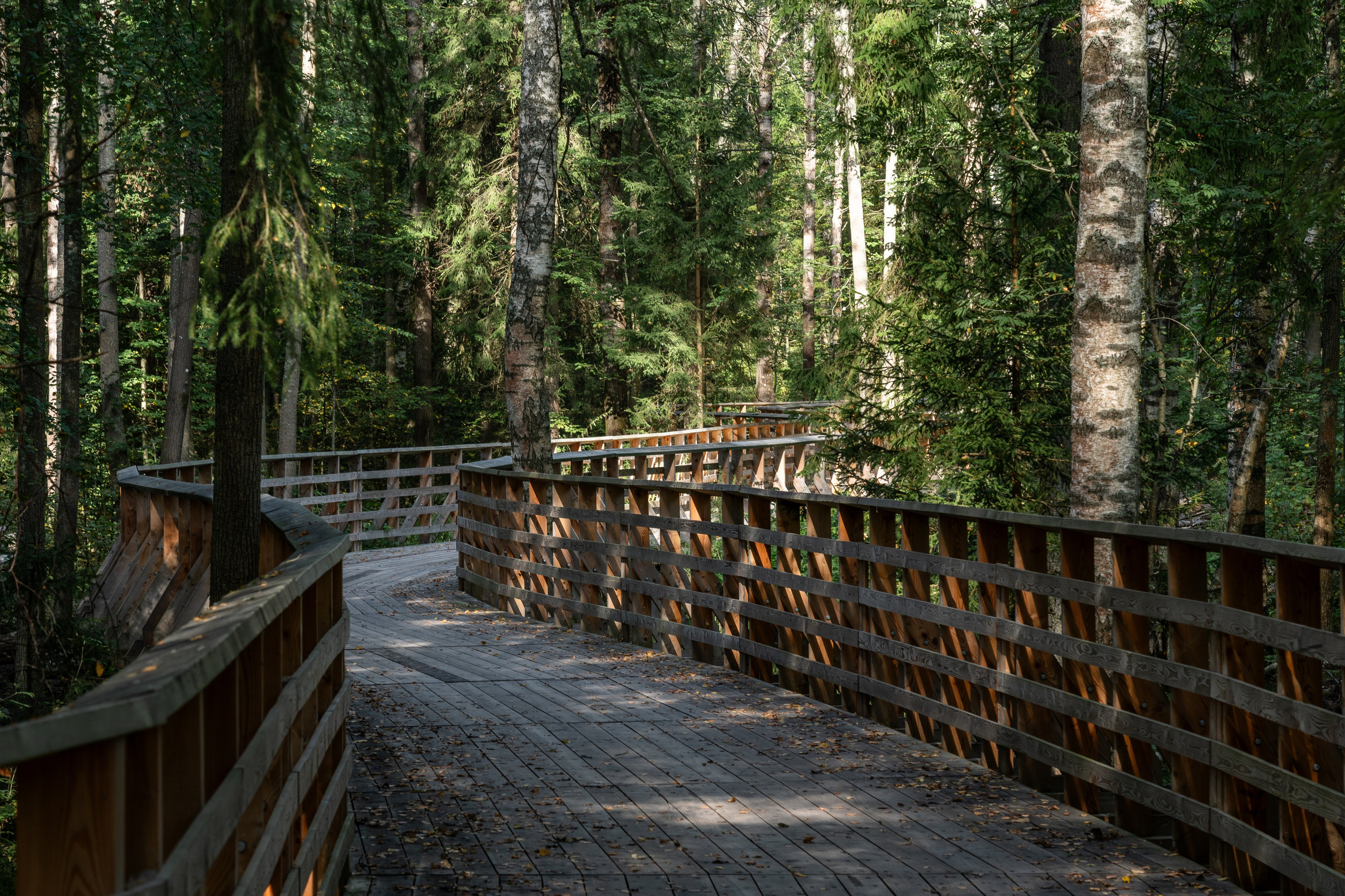 VELO1. Артамонов Александр | Архитектурный и ландшафтный фотограф