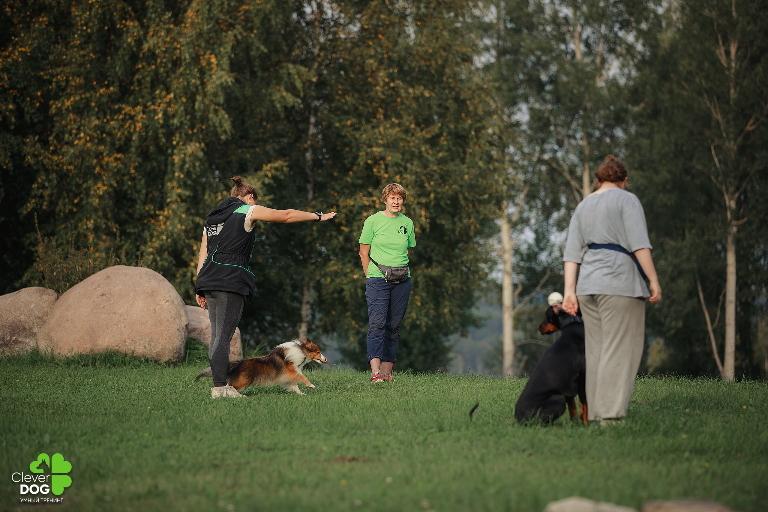 Кинологический лагерь CleverDog, 2024. Фотограф-анималист Mary Mart — Москва, Питер
