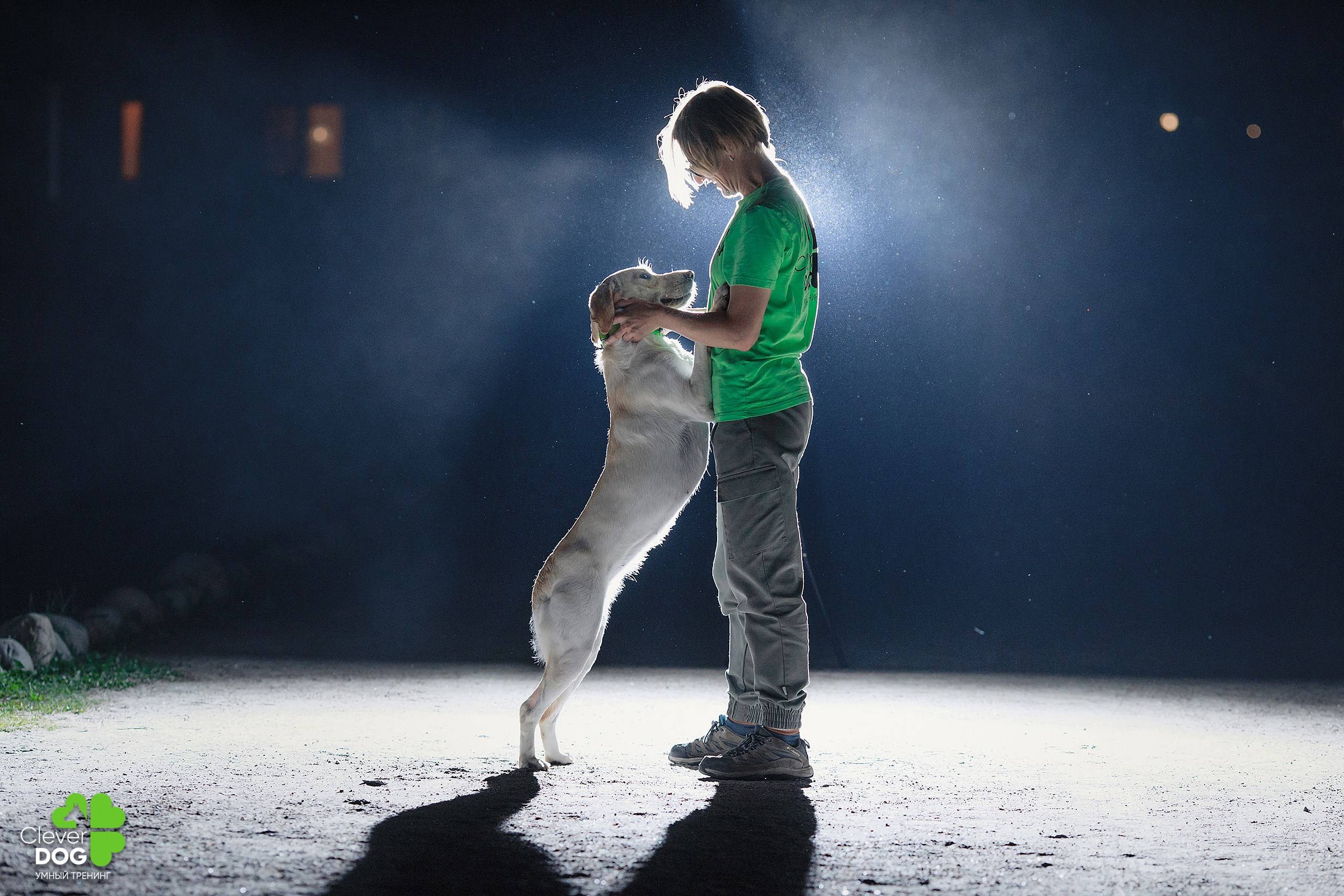Кинологический лагерь CleverDog, 2024. Фотограф-анималист Mary Mart — Москва, Питер